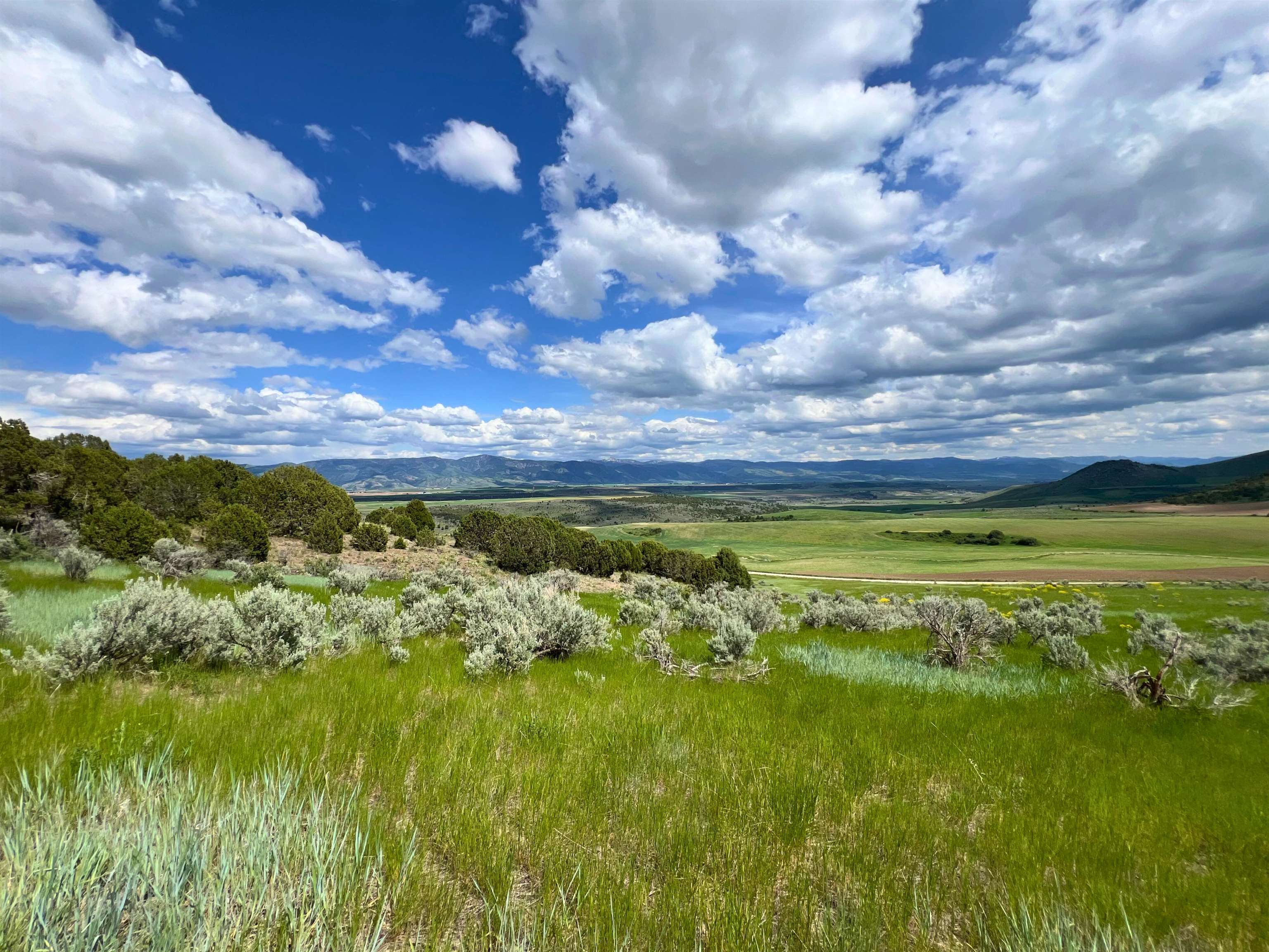 TBD Beaver Dam Rd, Grace, Idaho image 10
