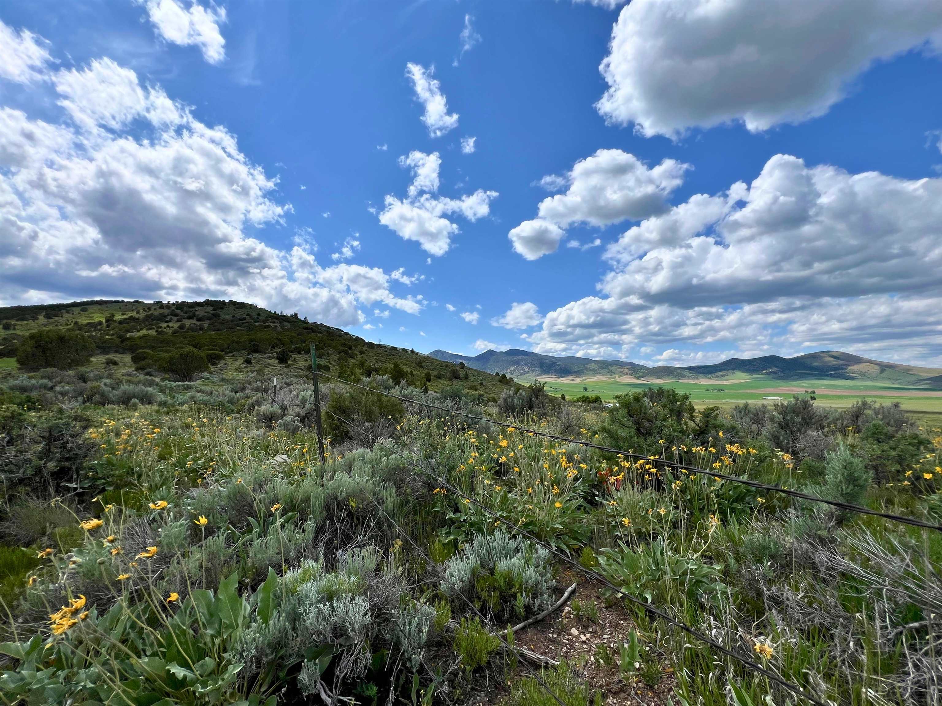 TBD Beaver Dam Rd, Grace, Idaho image 20