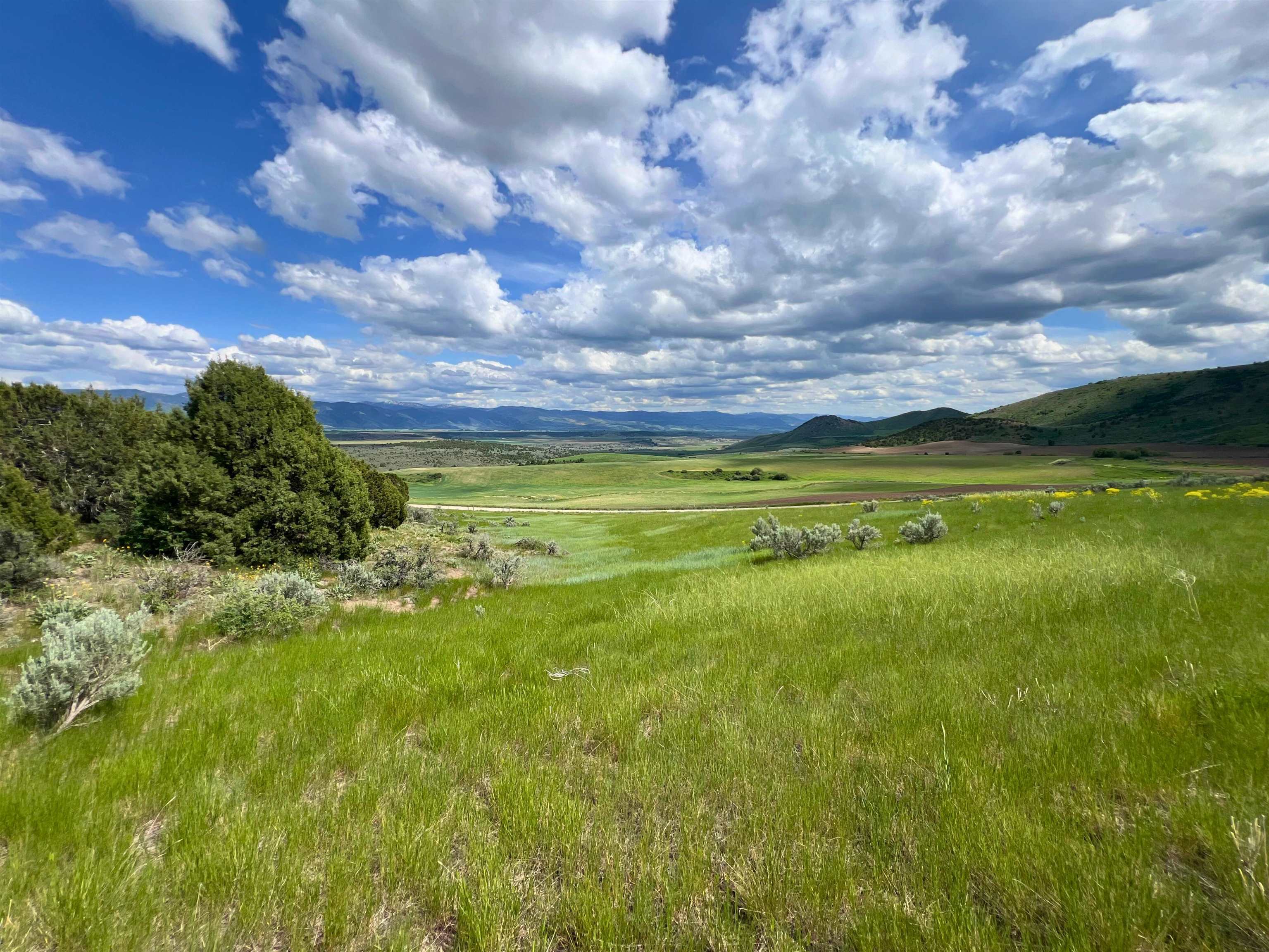 TBD Beaver Dam Rd, Grace, Idaho image 7