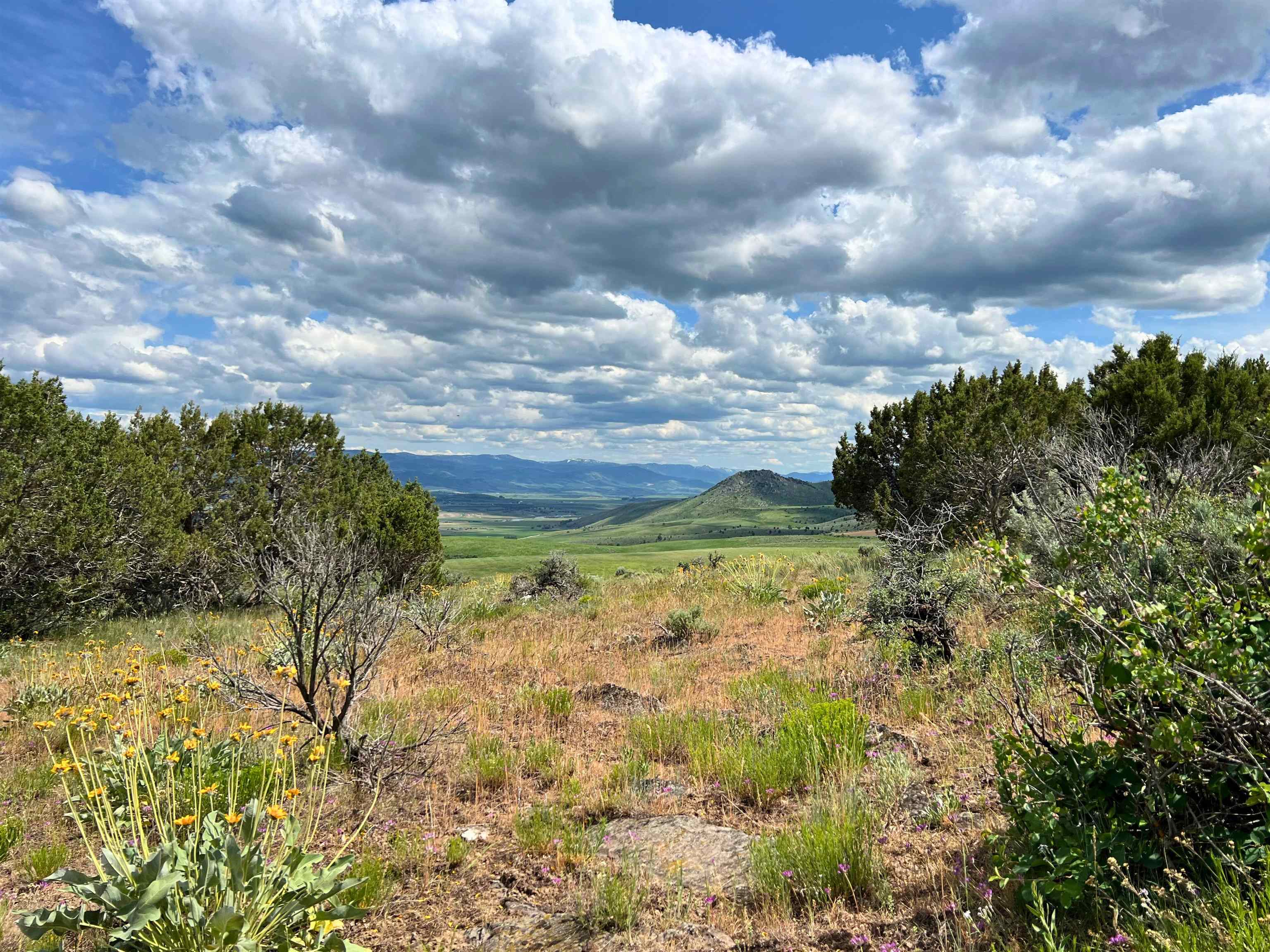 TBD Beaver Dam Rd, Grace, Idaho image 18
