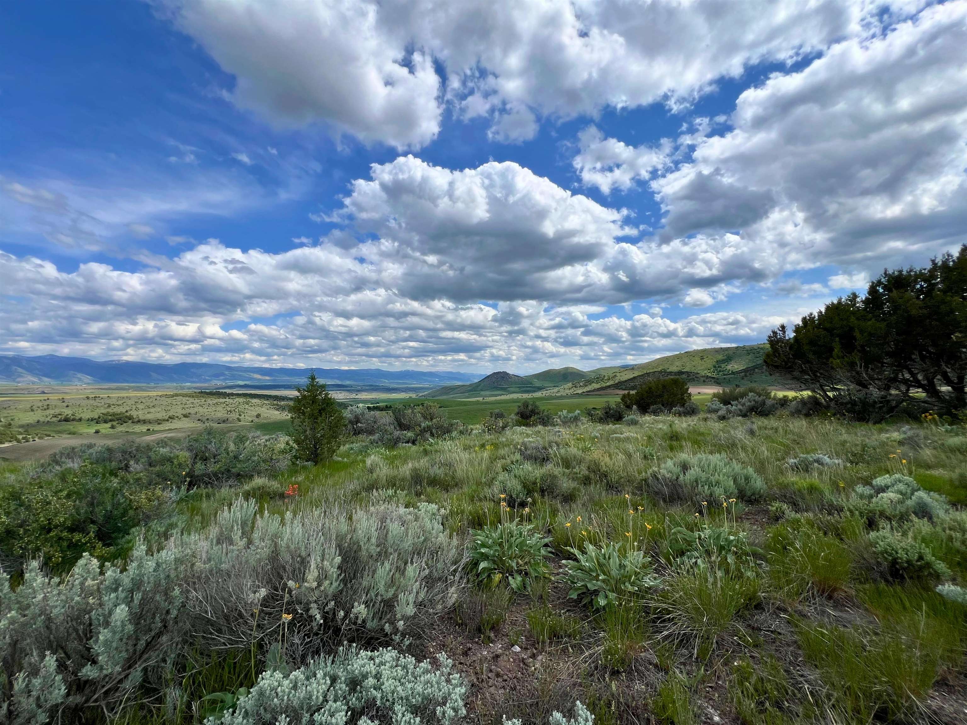 TBD Beaver Dam Rd, Grace, Idaho image 24