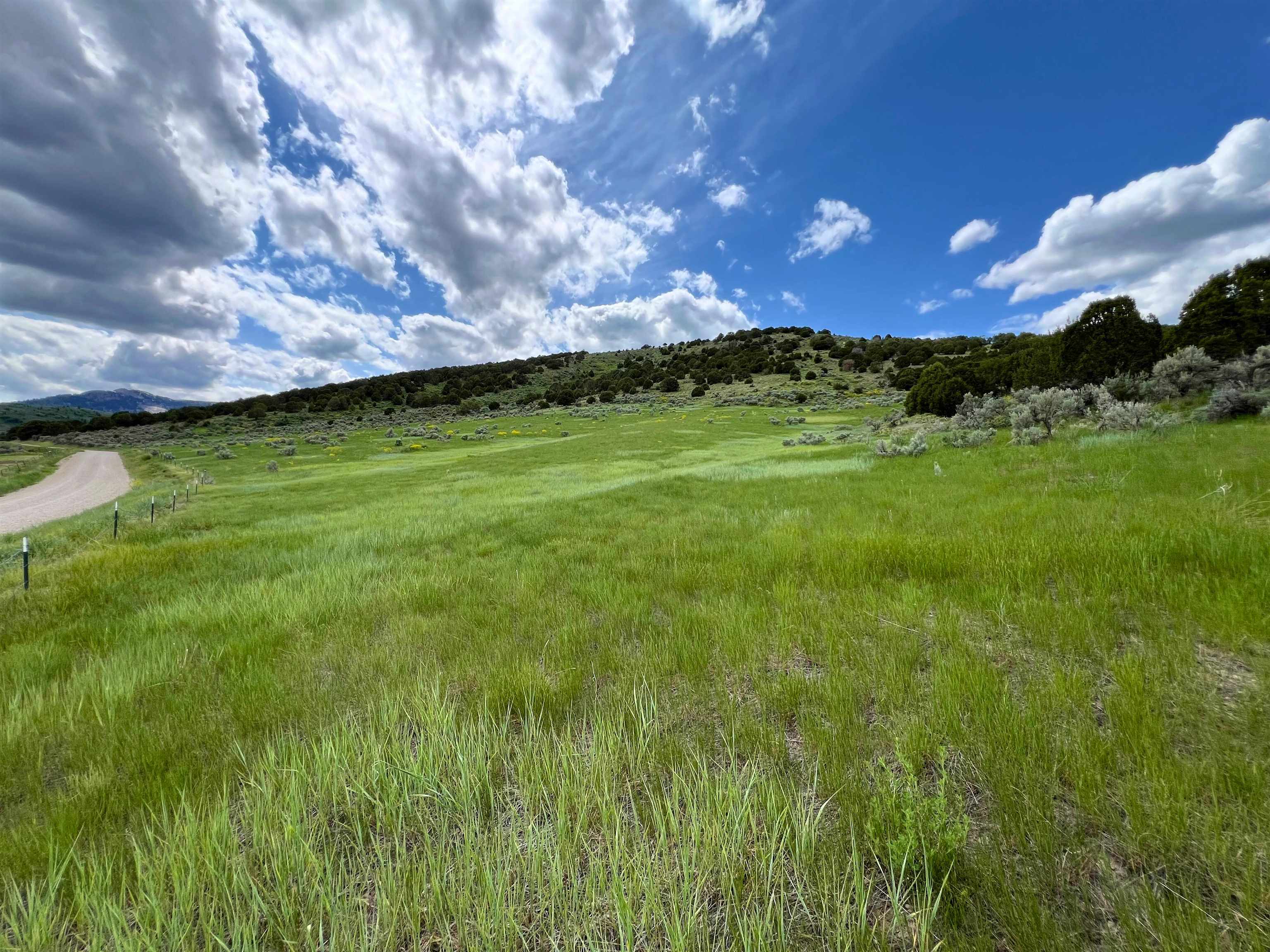 TBD Beaver Dam Rd, Grace, Idaho image 5