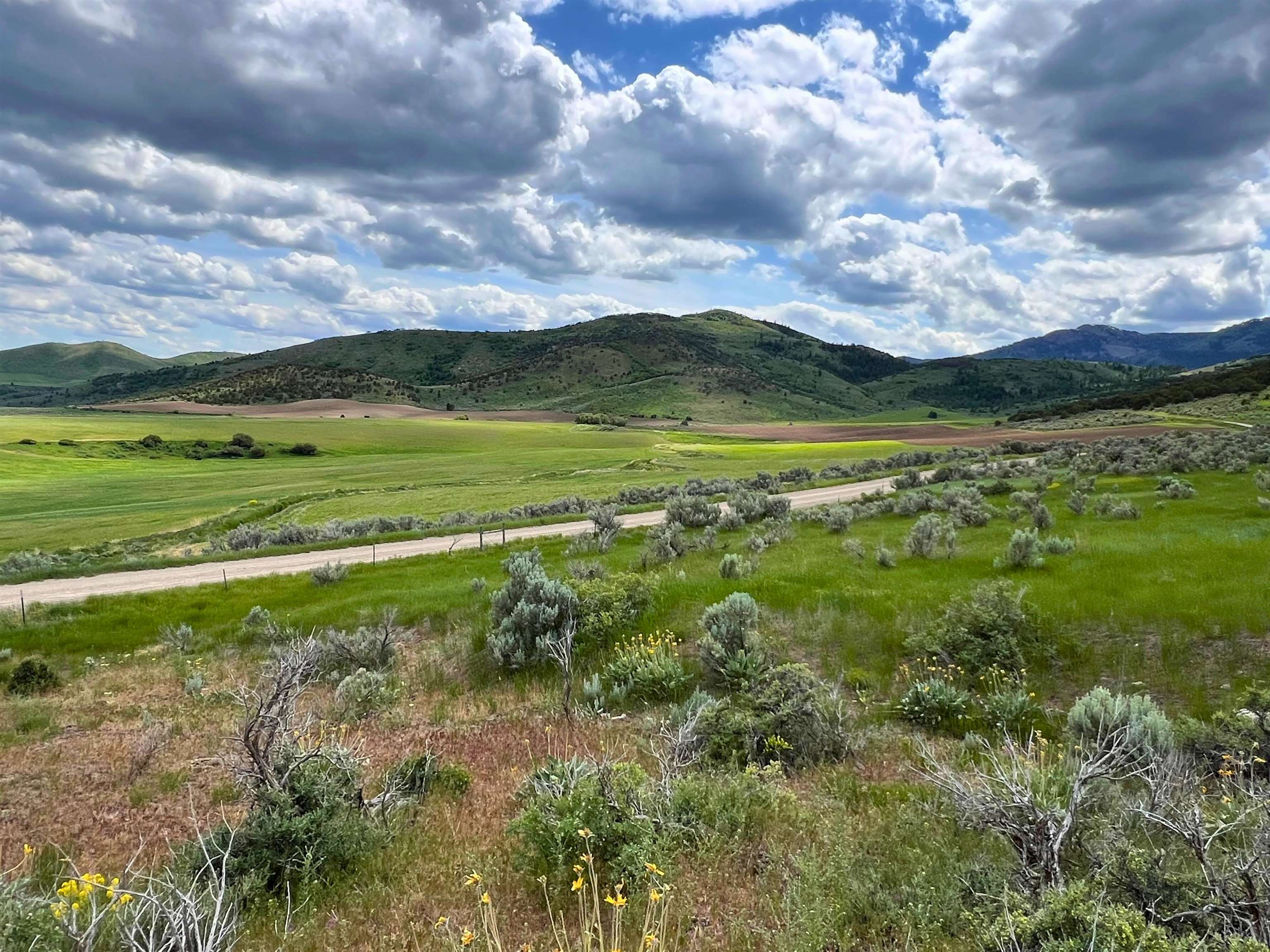 TBD Beaver Dam Rd, Grace, Idaho image 30