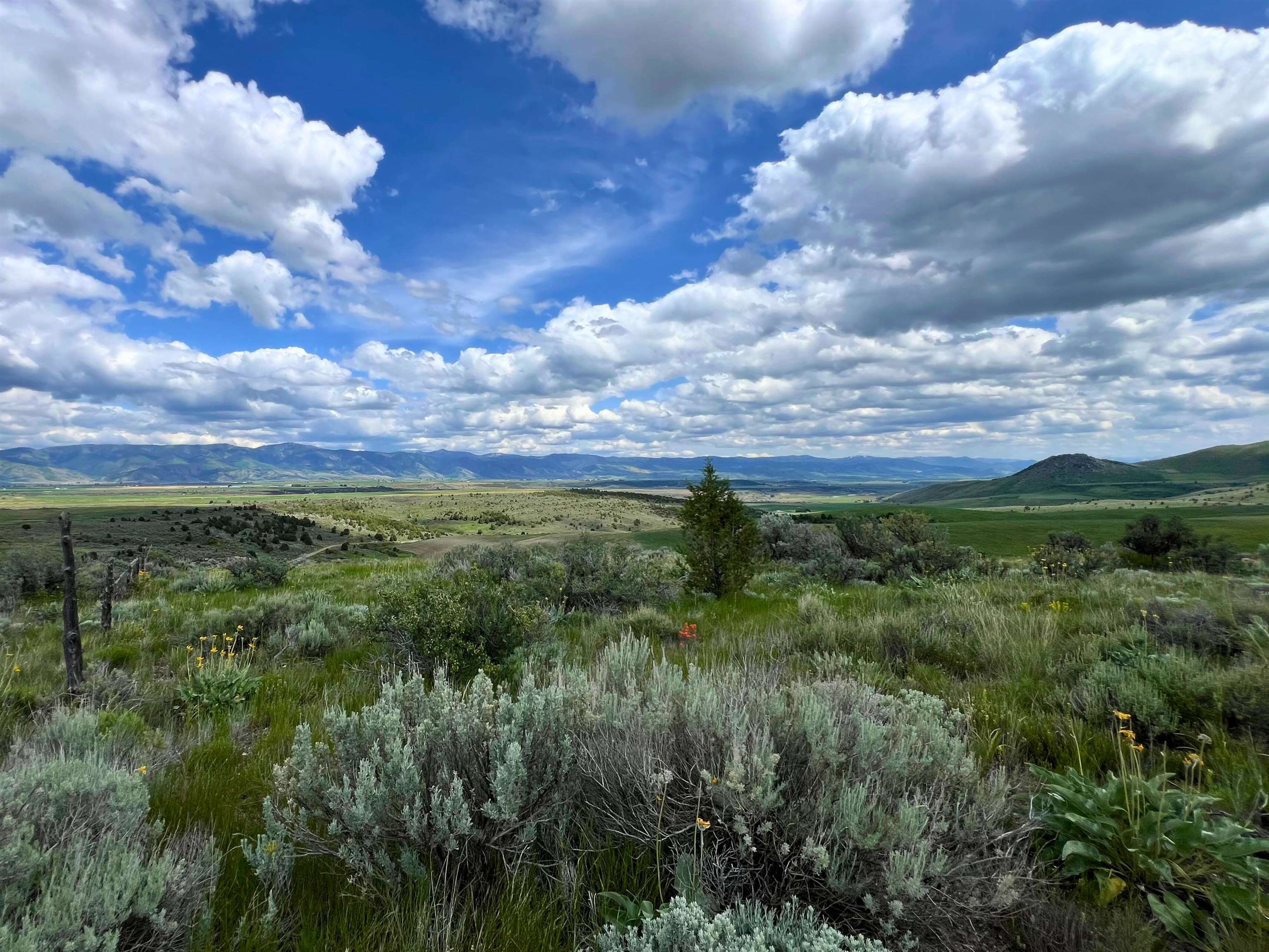 TBD Beaver Dam Rd, Grace, Idaho image 23