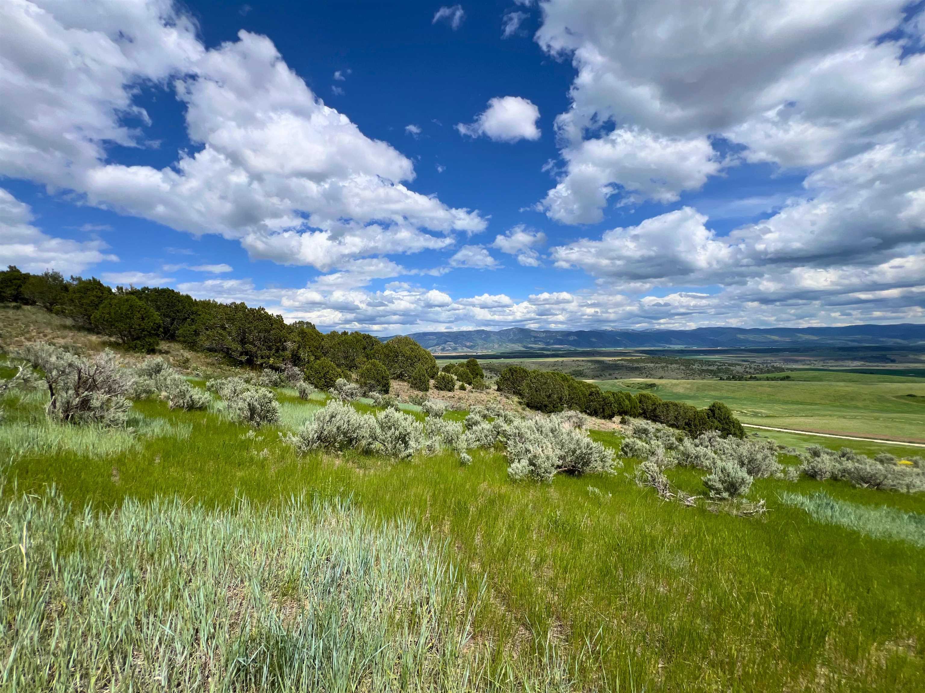 TBD Beaver Dam Rd, Grace, Idaho image 9