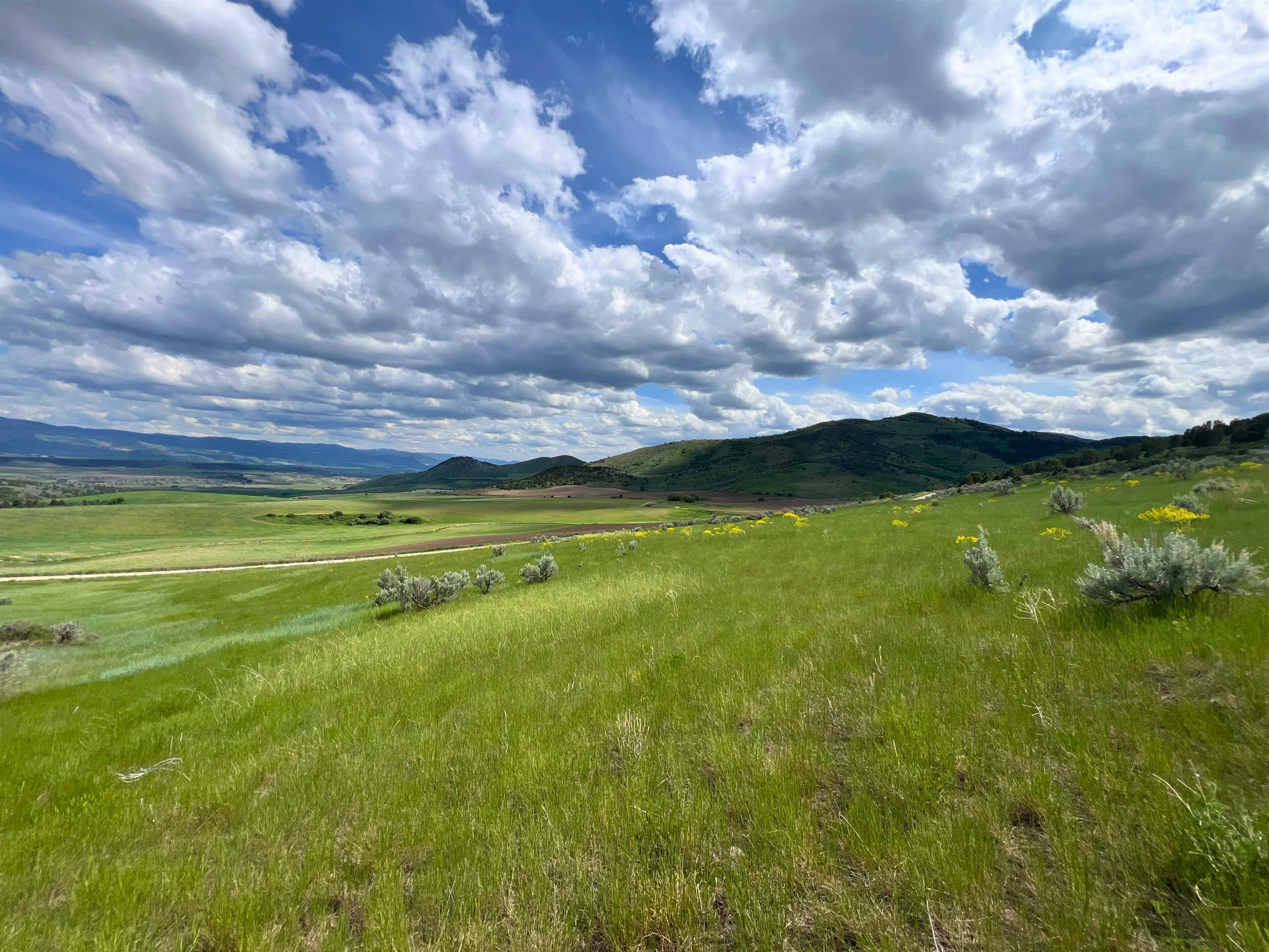 TBD Beaver Dam Rd, Grace, Idaho image 8