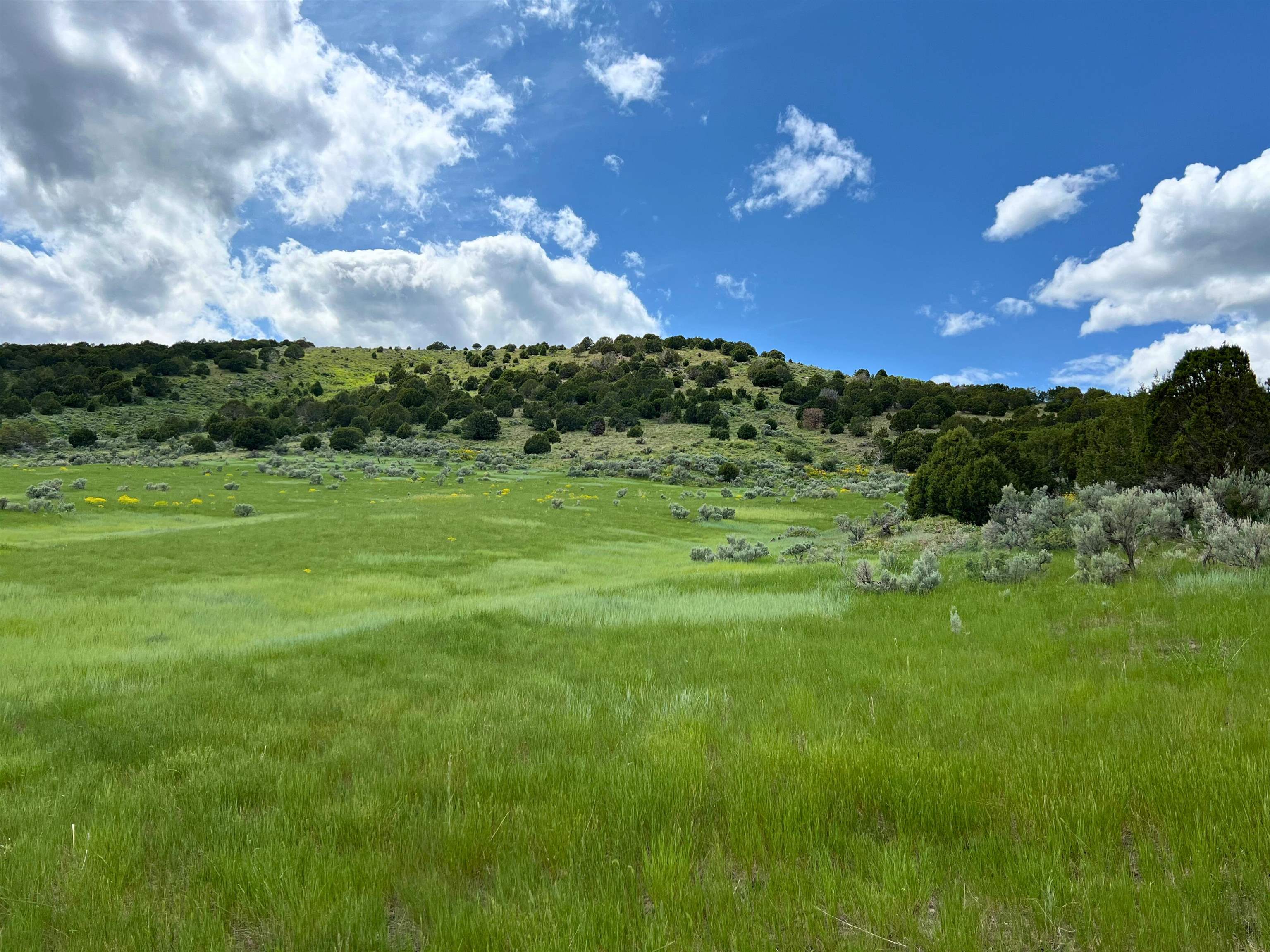 TBD Beaver Dam Rd, Grace, Idaho image 2