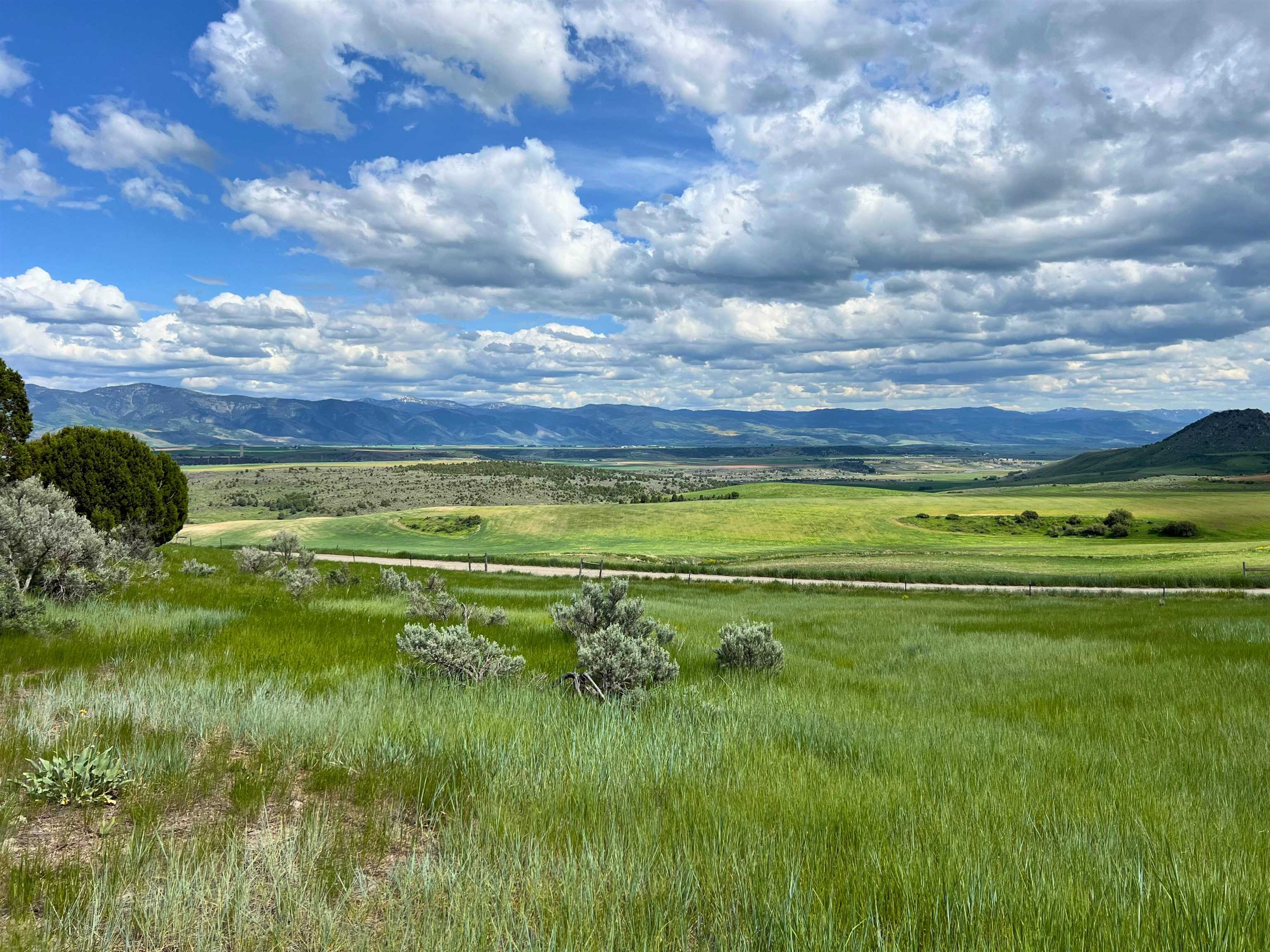 TBD Beaver Dam Rd, Grace, Idaho image 6