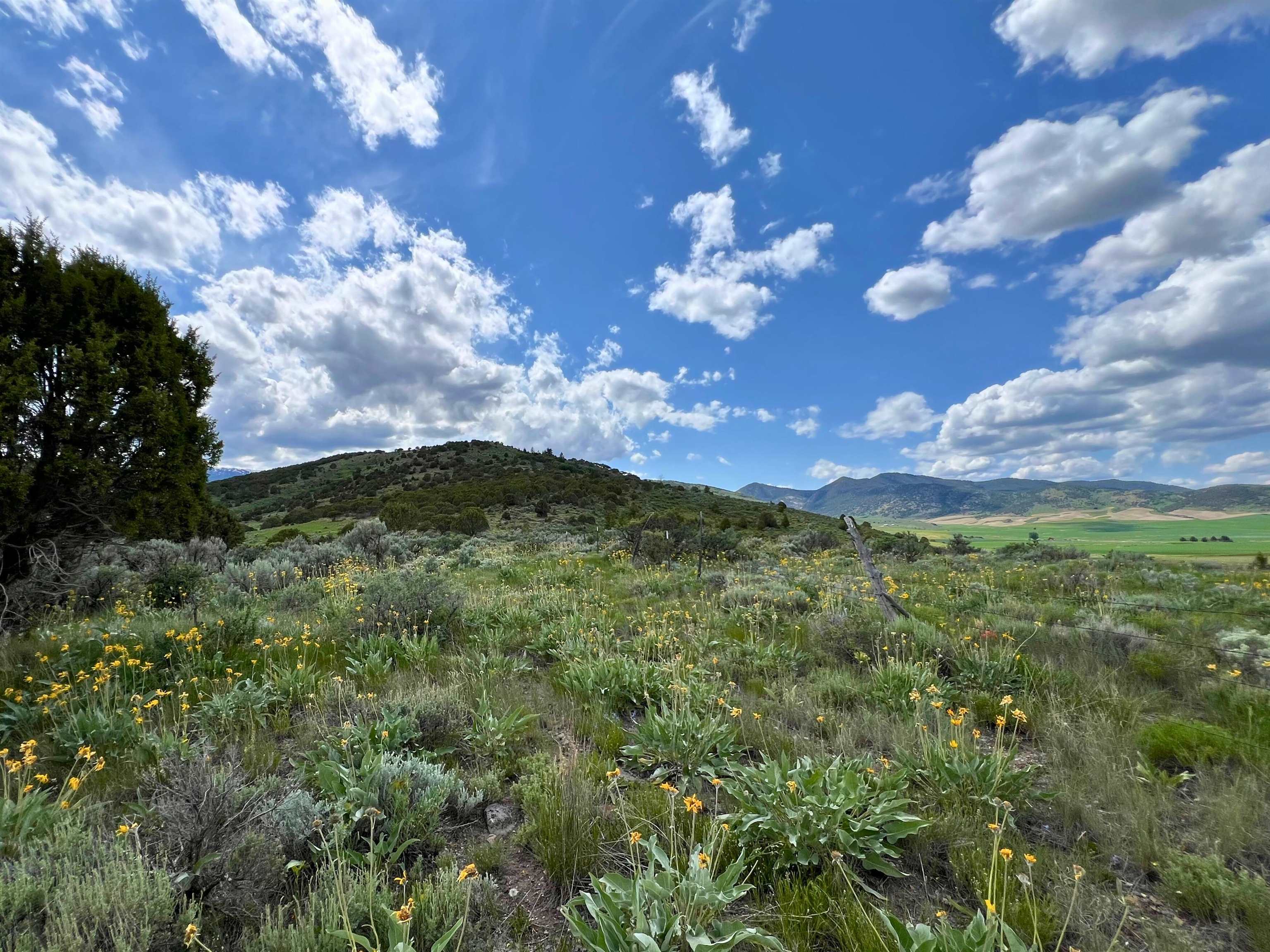 TBD Beaver Dam Rd, Grace, Idaho image 22