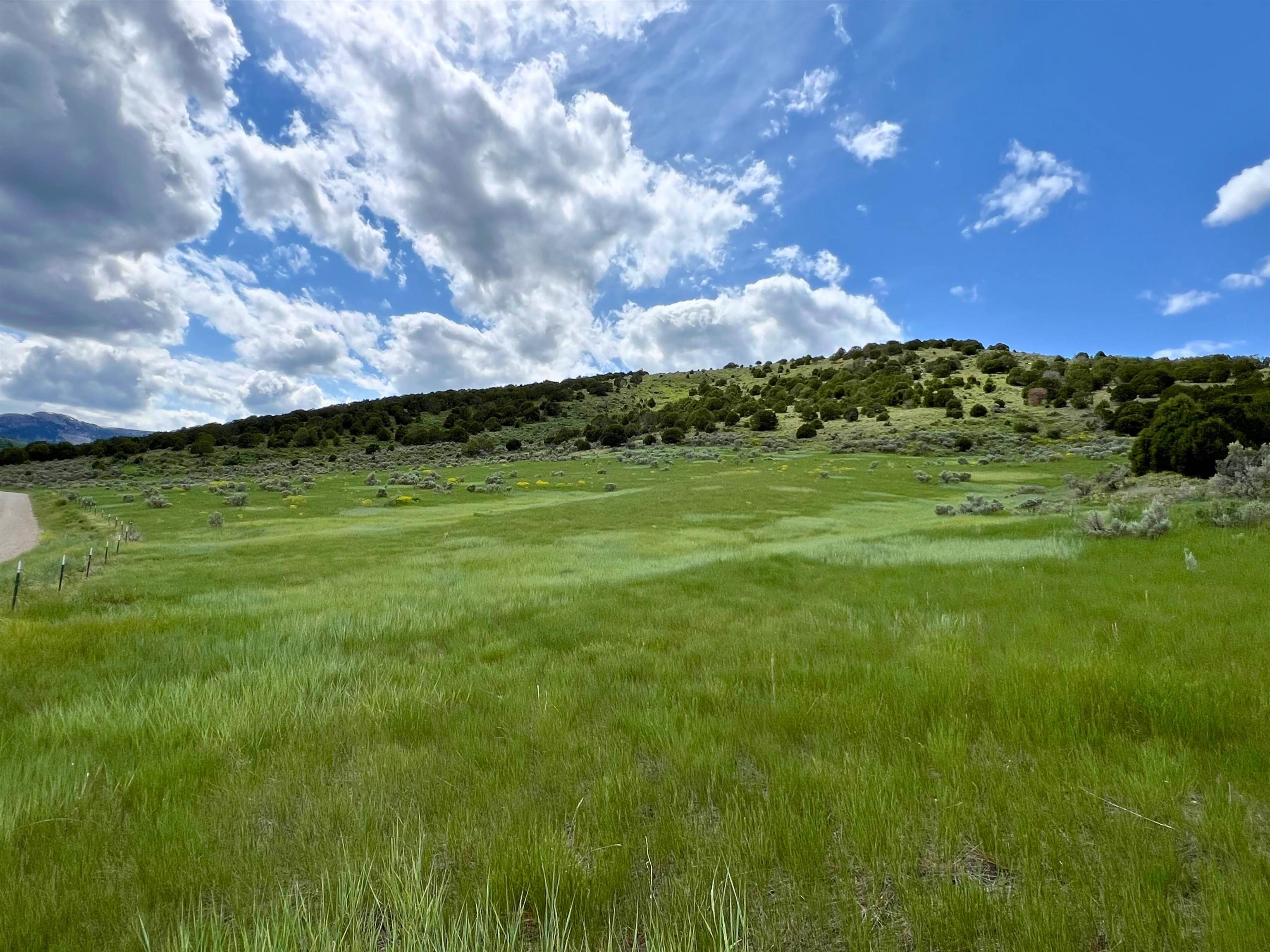 TBD Beaver Dam Rd, Grace, Idaho image 1