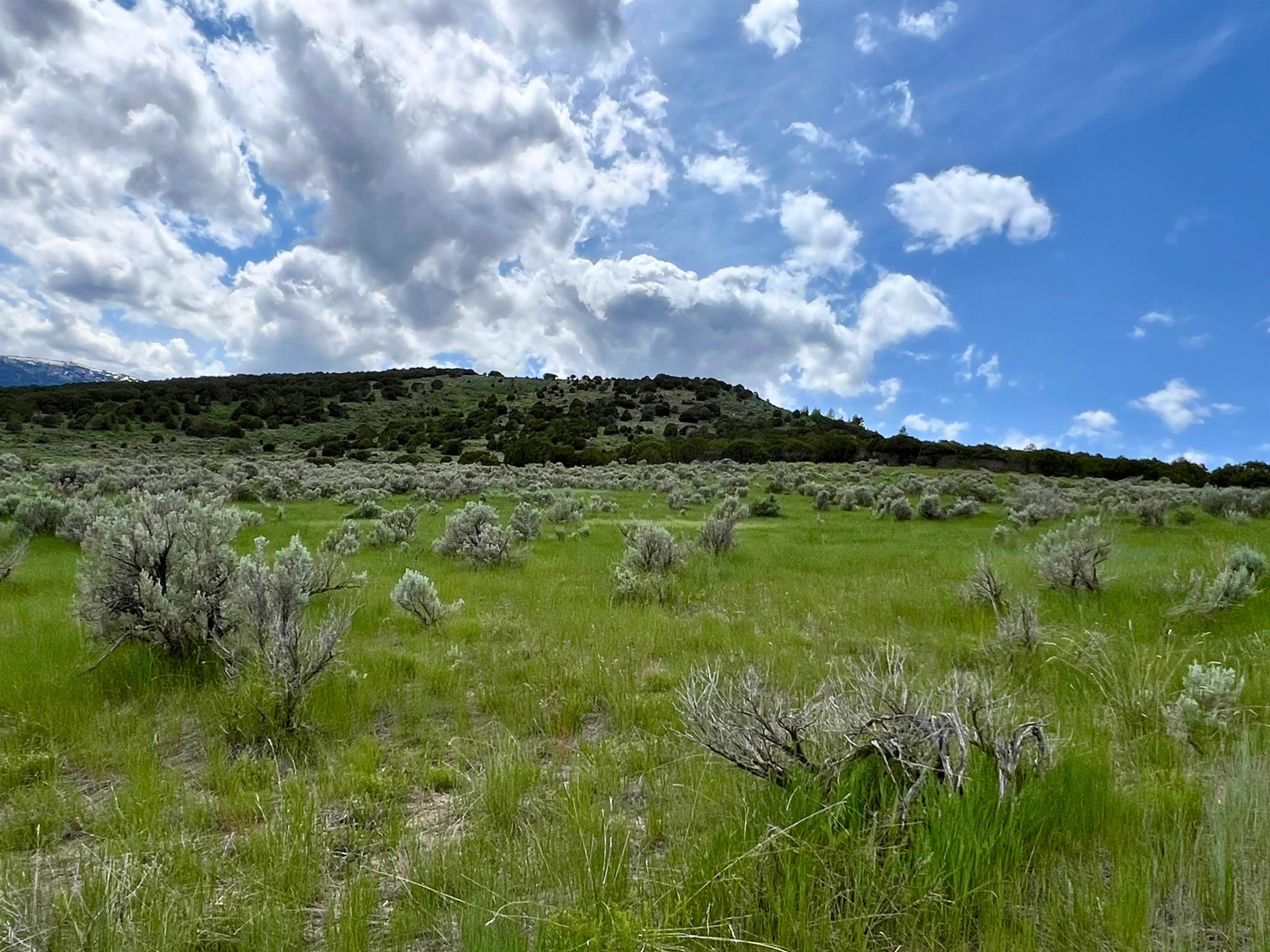TBD Beaver Dam Rd, Grace, Idaho image 29
