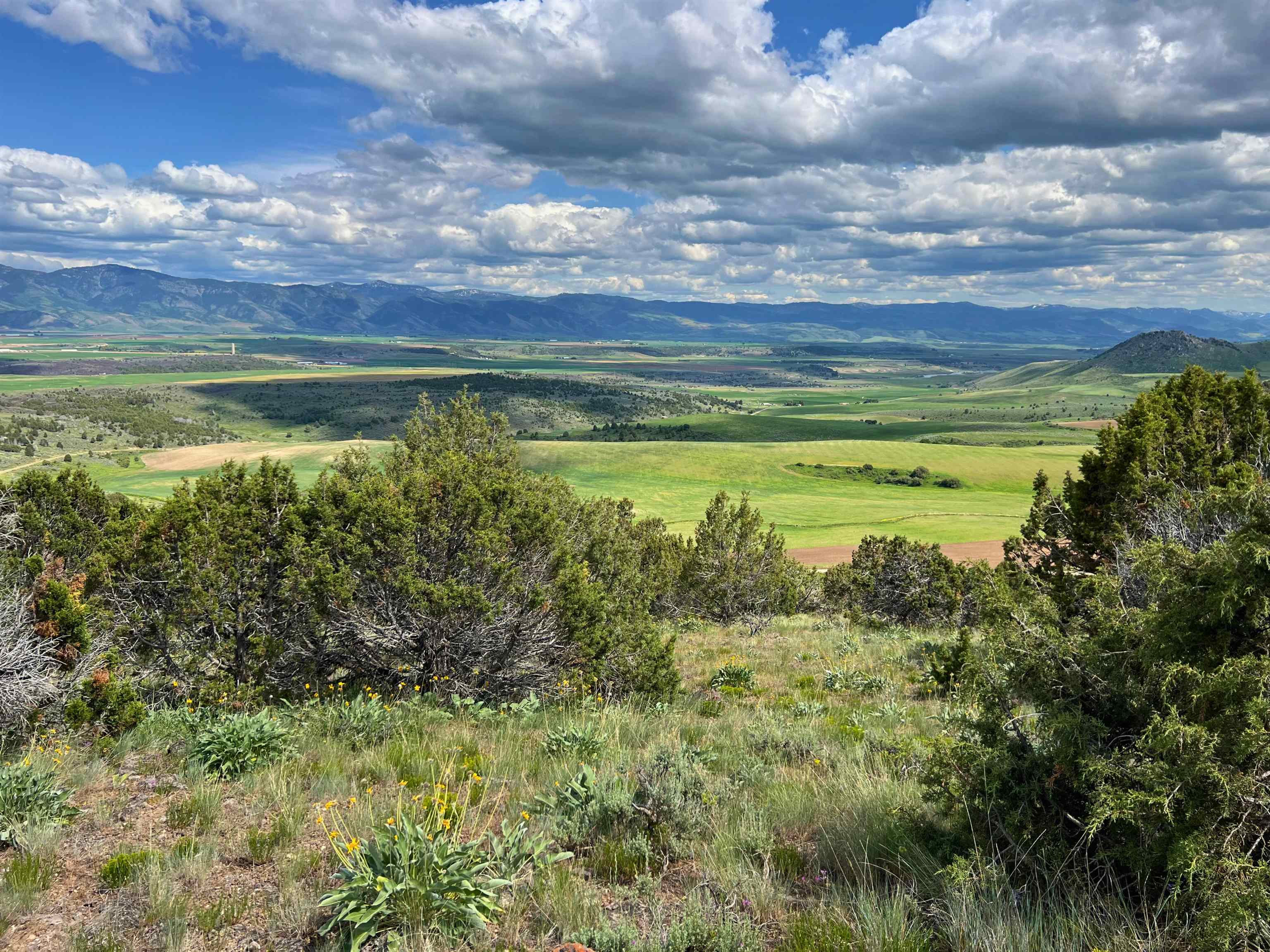 TBD Beaver Dam Rd, Grace, Idaho image 14