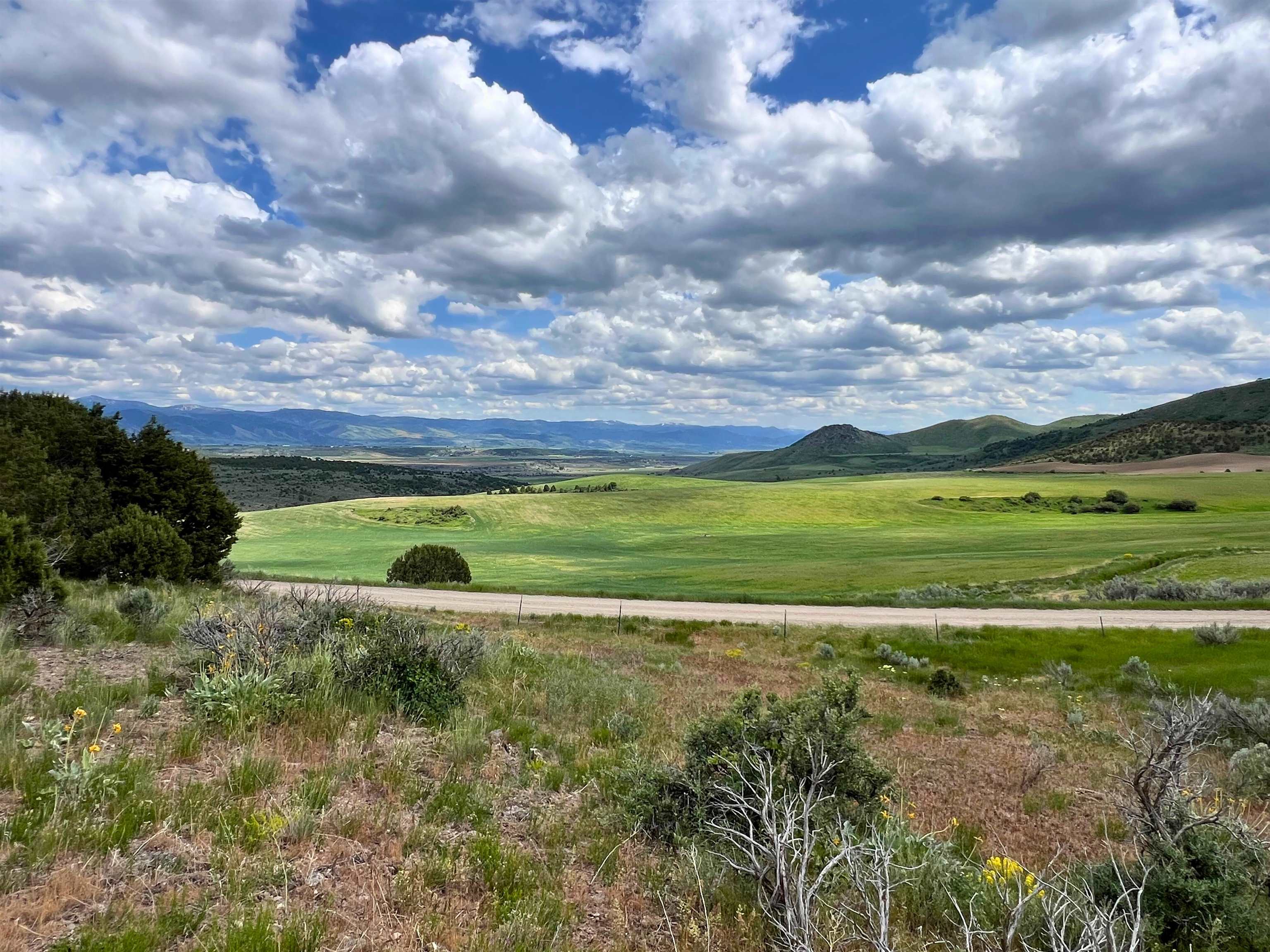 TBD Beaver Dam Rd, Grace, Idaho image 31