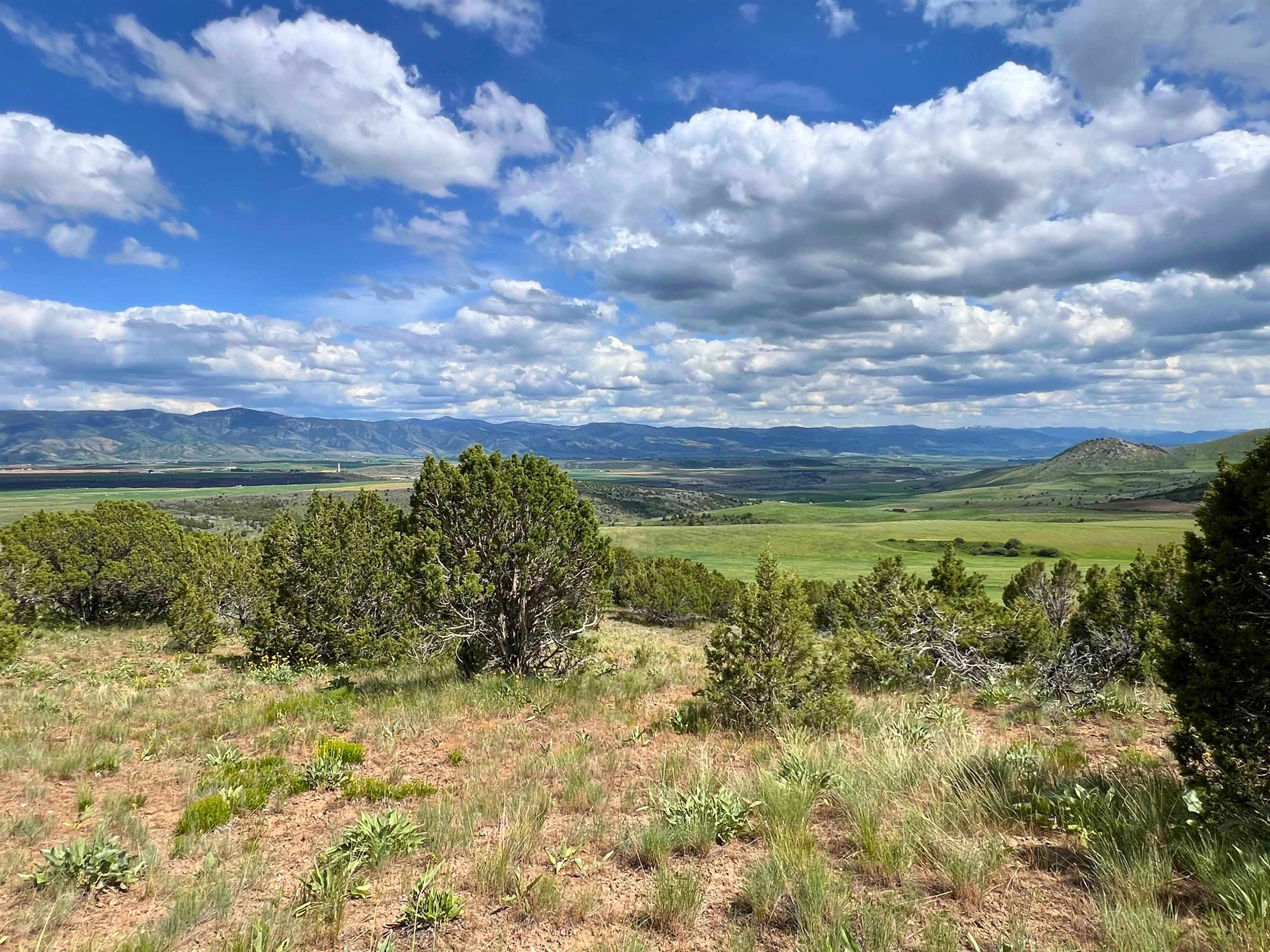 TBD Beaver Dam Rd, Grace, Idaho image 17