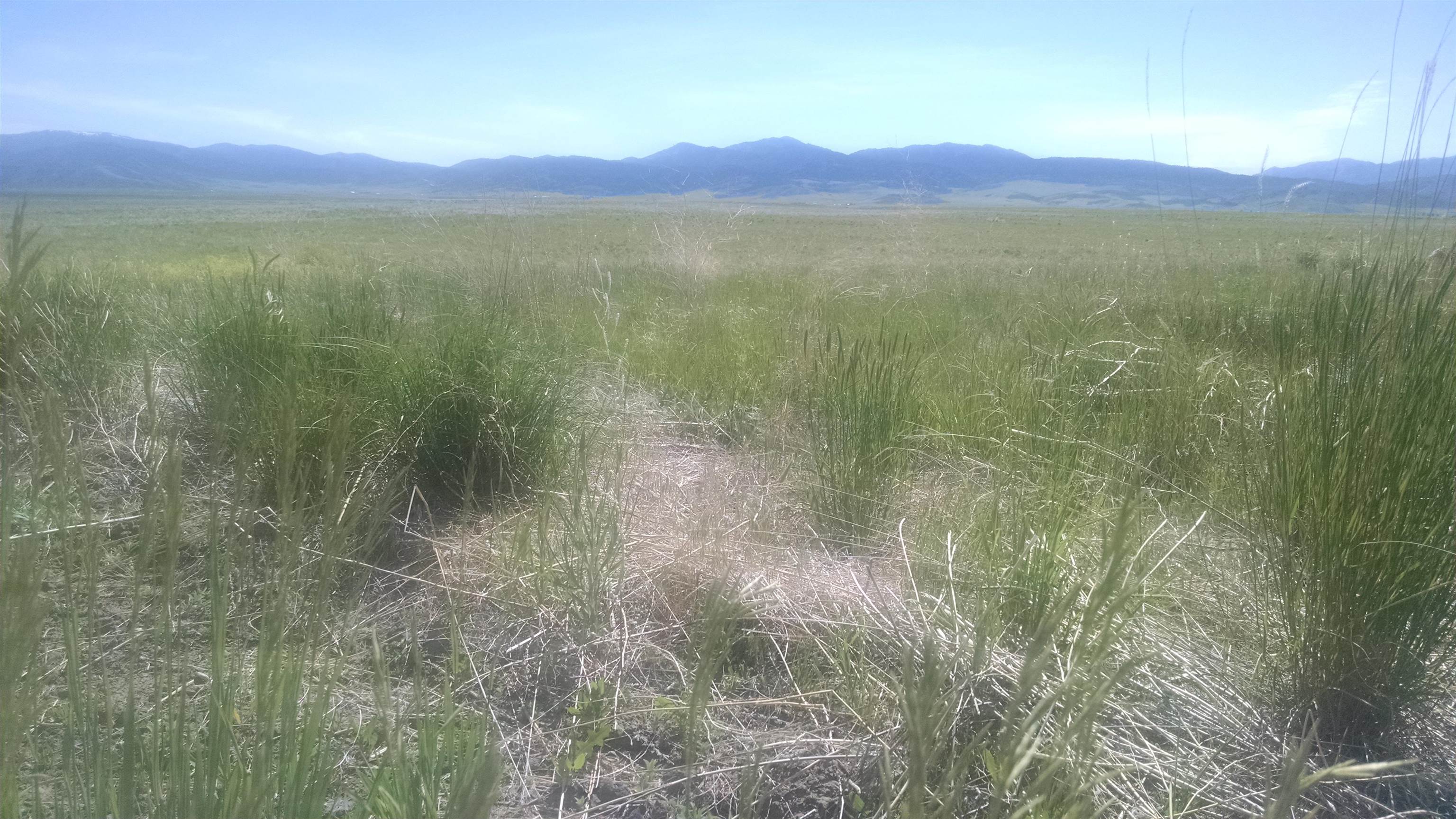 NNA Nna 635.48 Acres Airport Rd, Bancroft, Idaho image 3