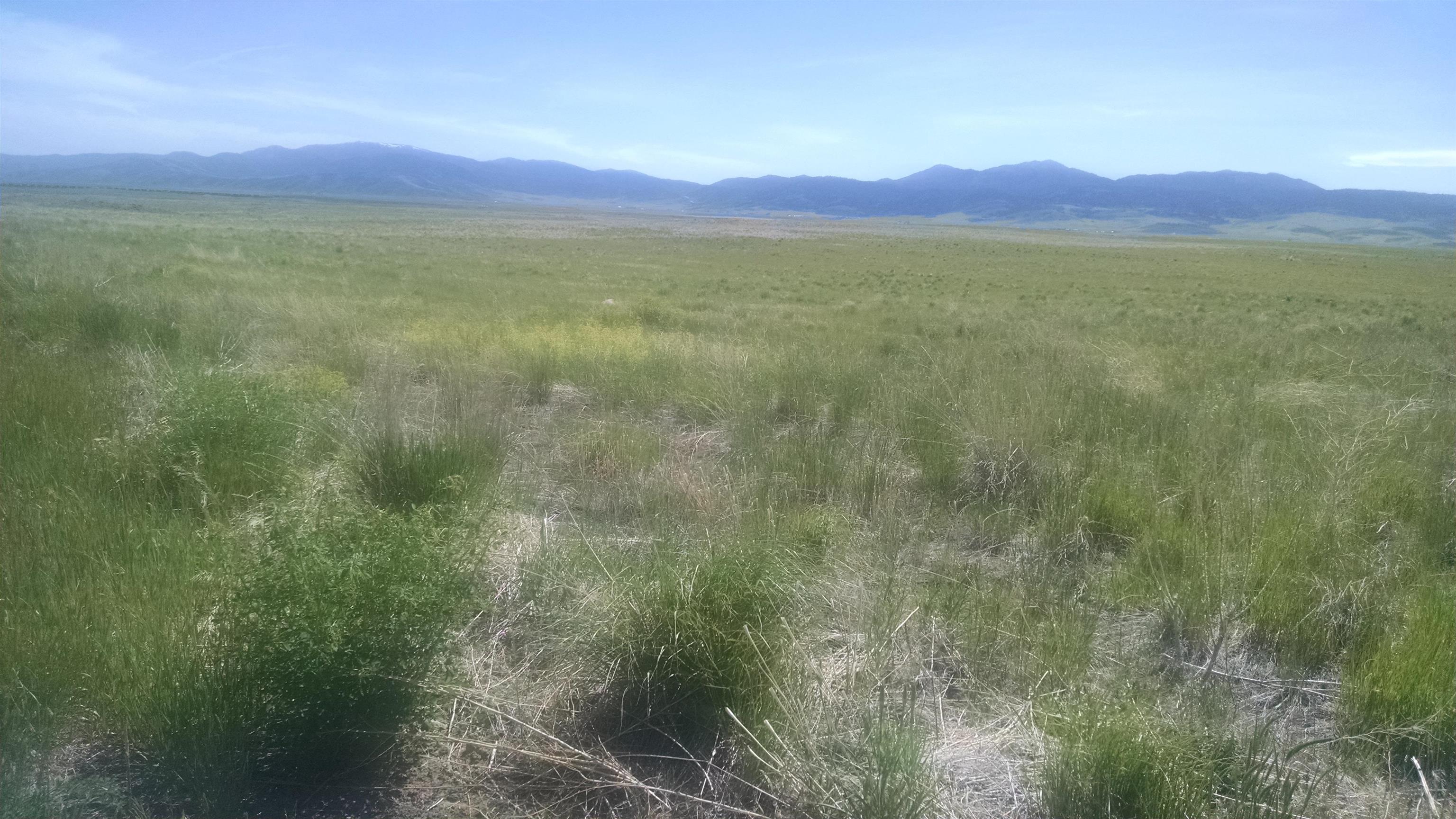 NNA Nna 635.48 Acres Airport Rd, Bancroft, Idaho image 5