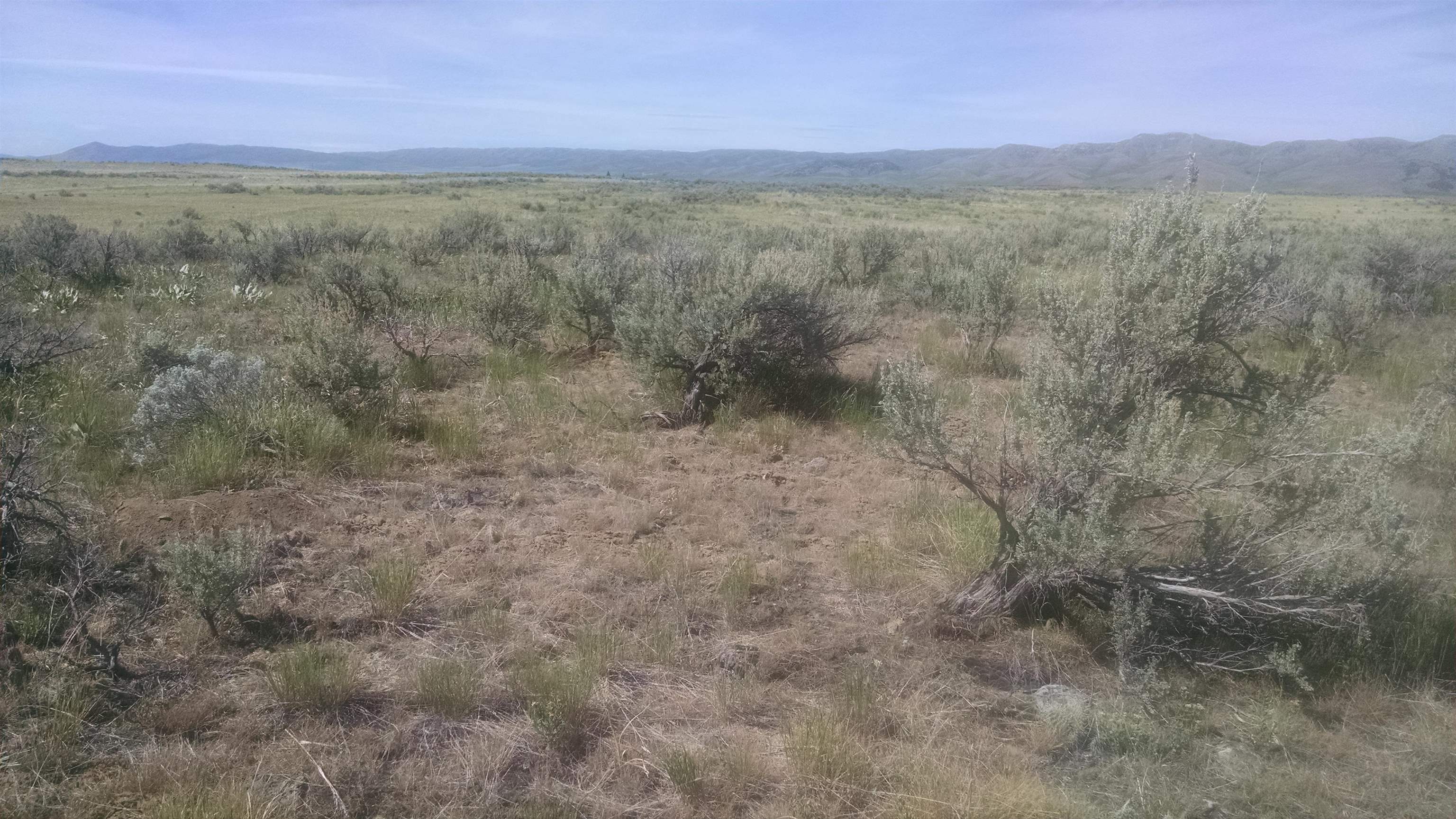 NNA Nna 635.48 Acres Airport Rd, Bancroft, Idaho image 2