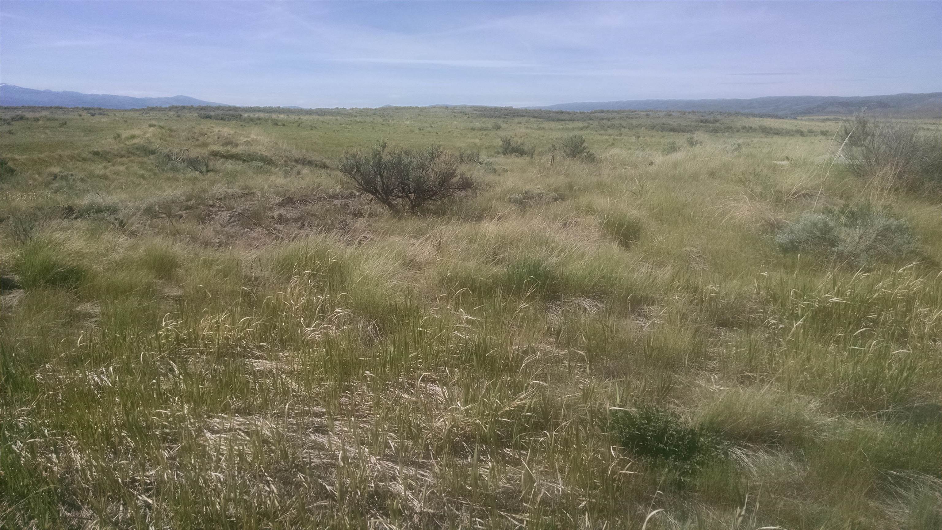 NNA Nna 635.48 Acres Airport Rd, Bancroft, Idaho image 4
