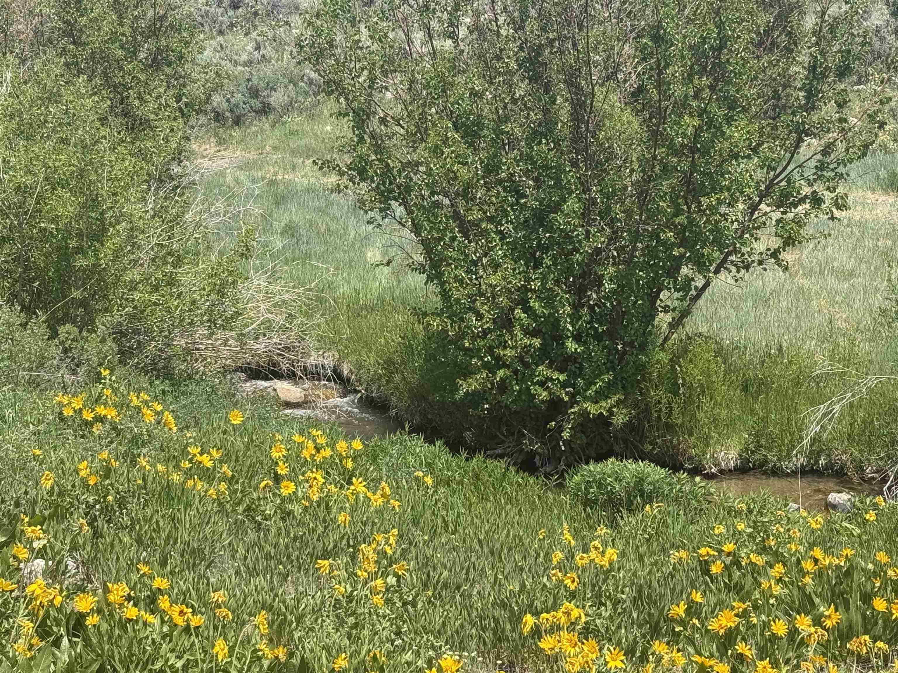 775 E 10820 N, Malad City, Idaho image 11