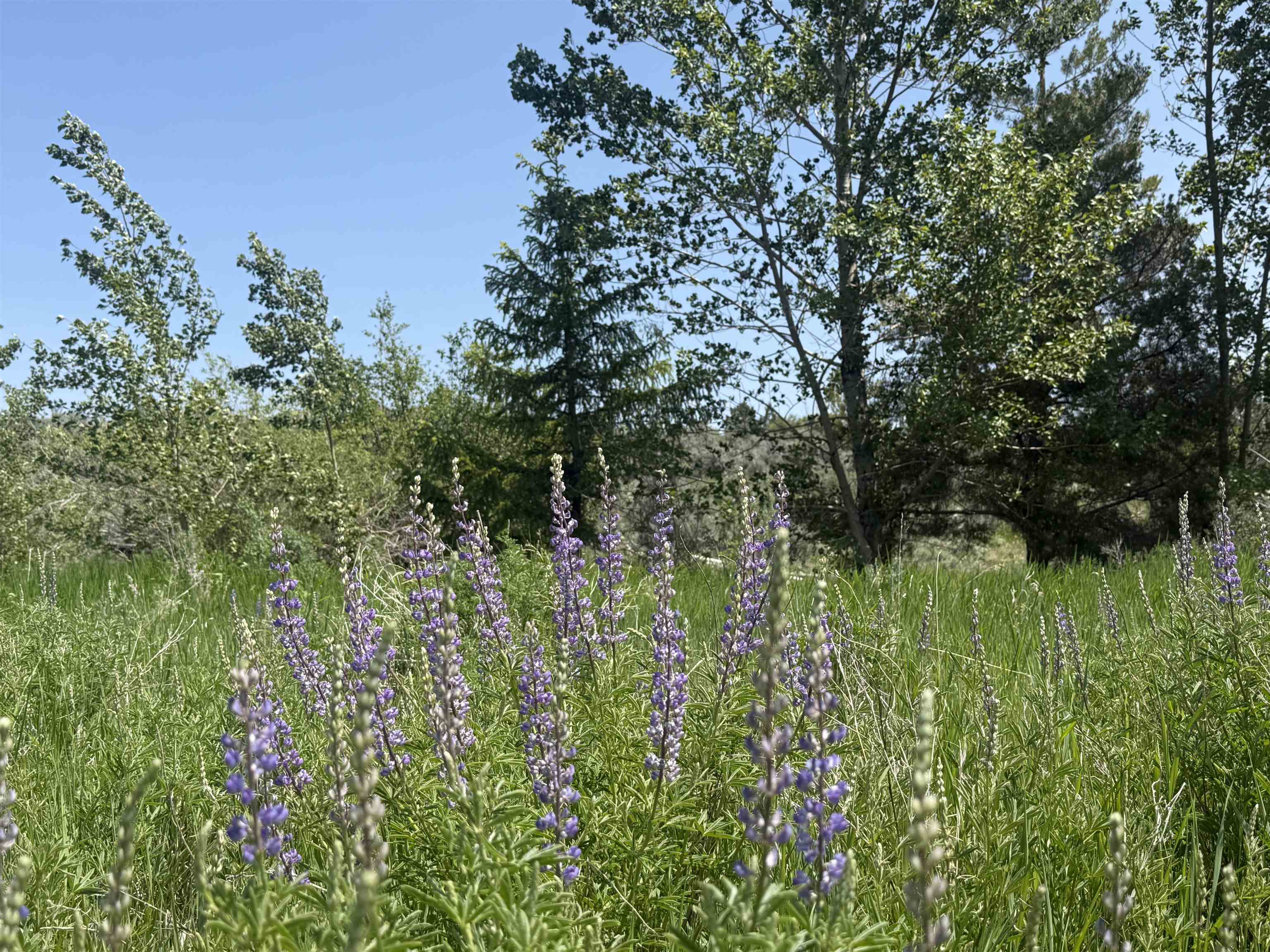775 E 10820 N, Malad City, Idaho image 12
