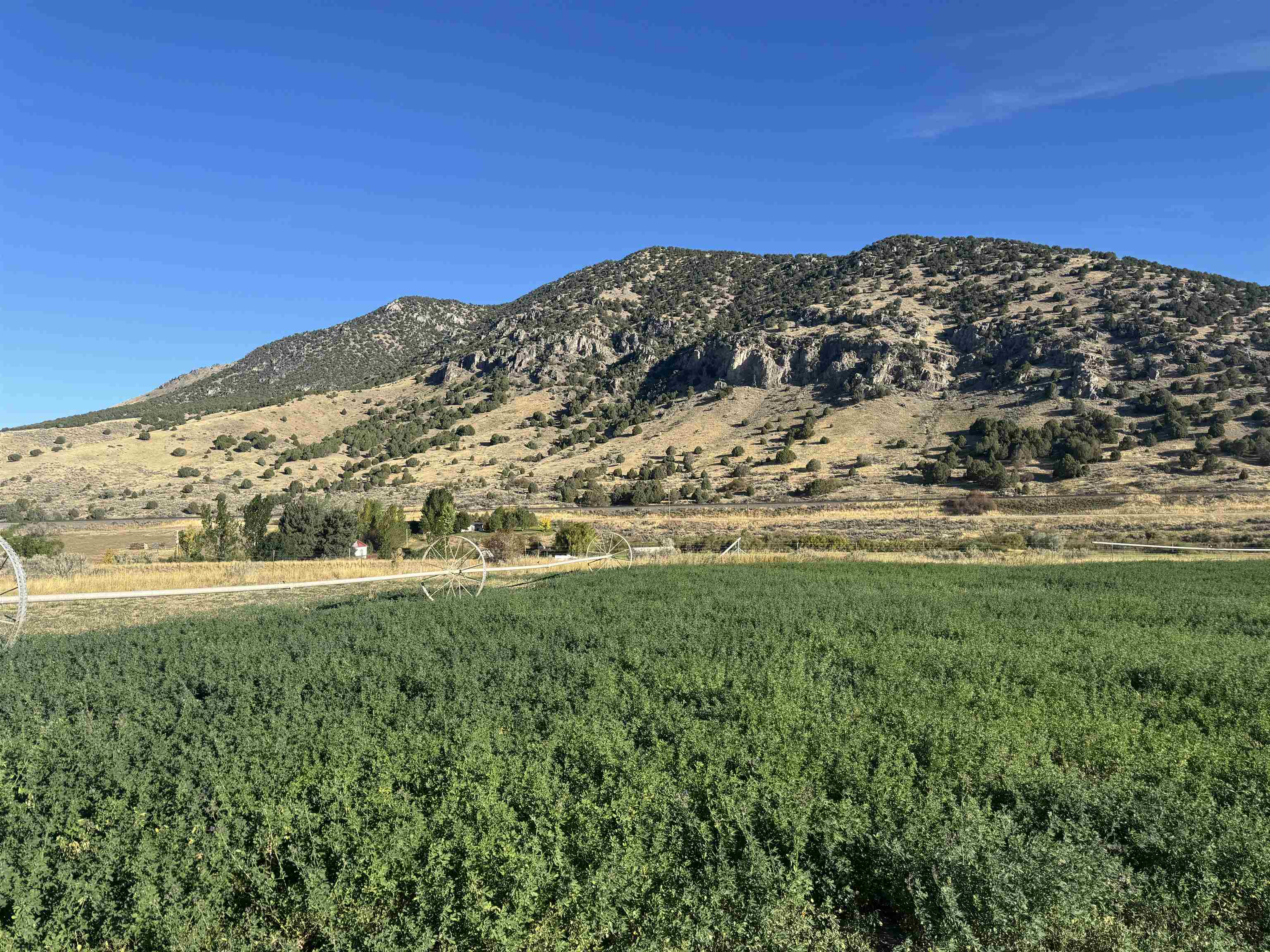 TBD Maughan Rd, Lava Hot Springs, Idaho image 6