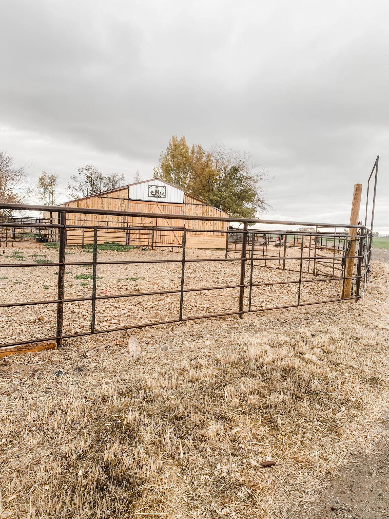 281 Cottonwood Ln, Blackfoot, Idaho image 31