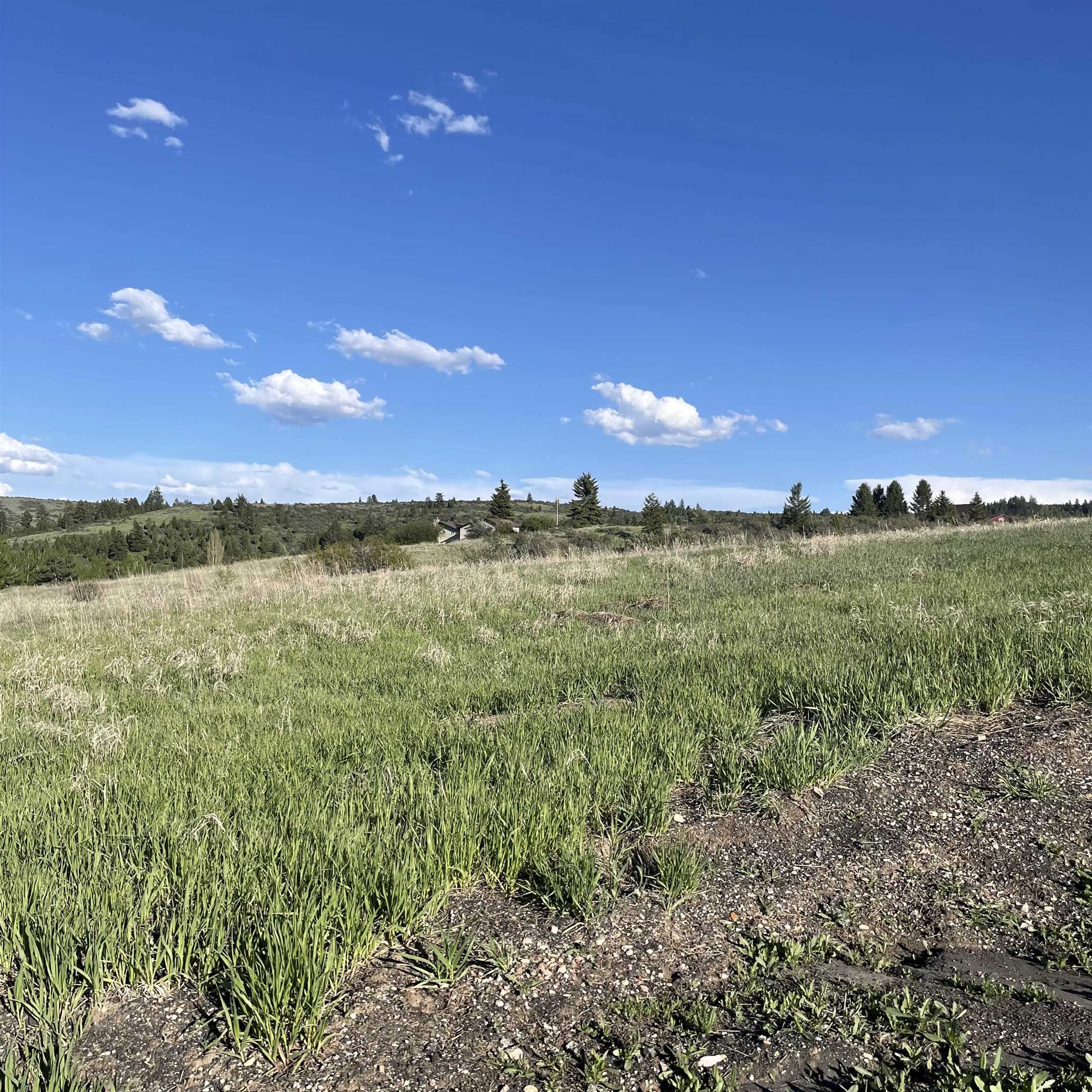 Lot 120 Bailey Creek Sub 1, Soda Springs, Idaho image 3