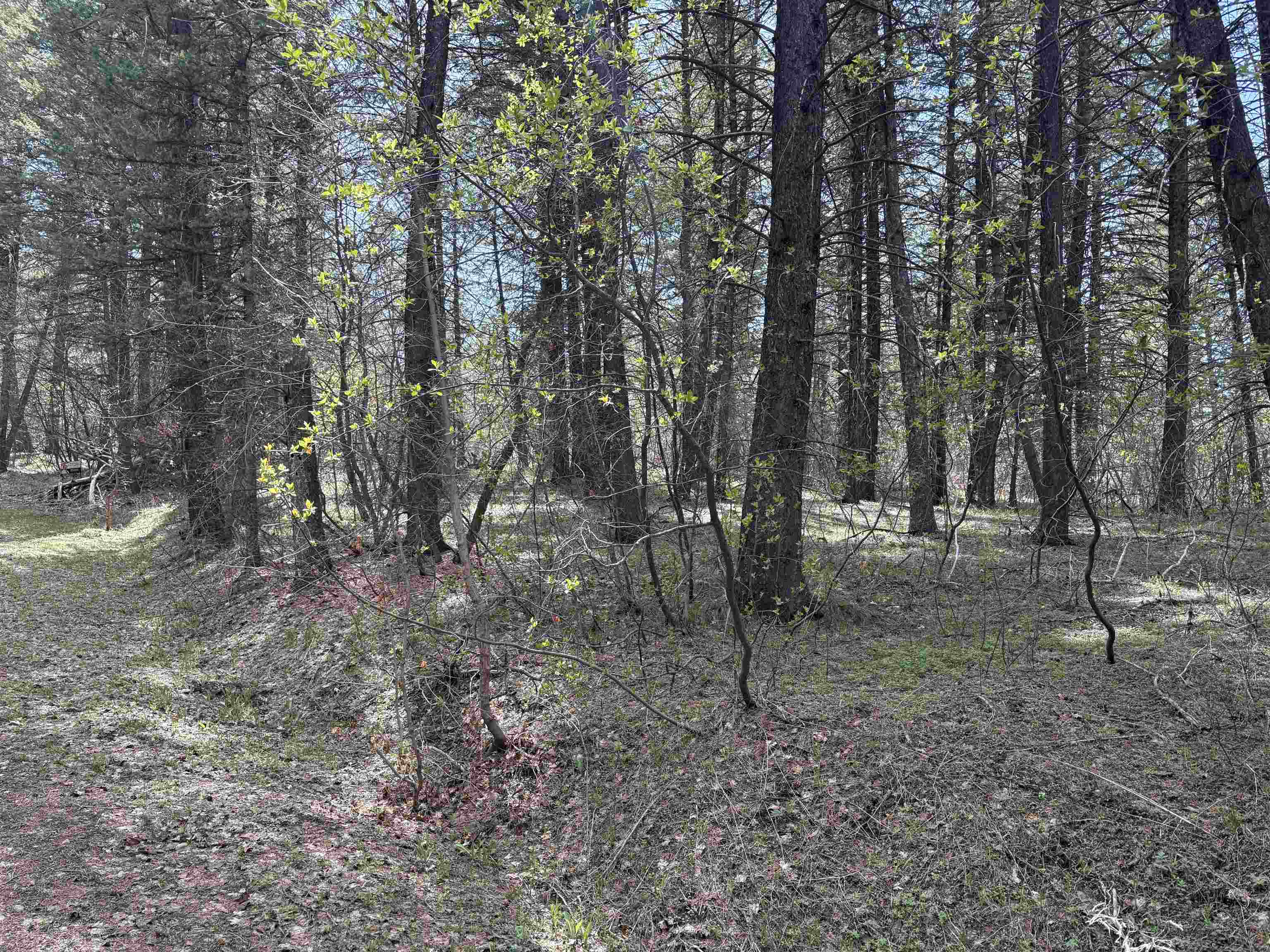 00 Deer Creek (hawthorne), Lava Hot Springs, Idaho image 13