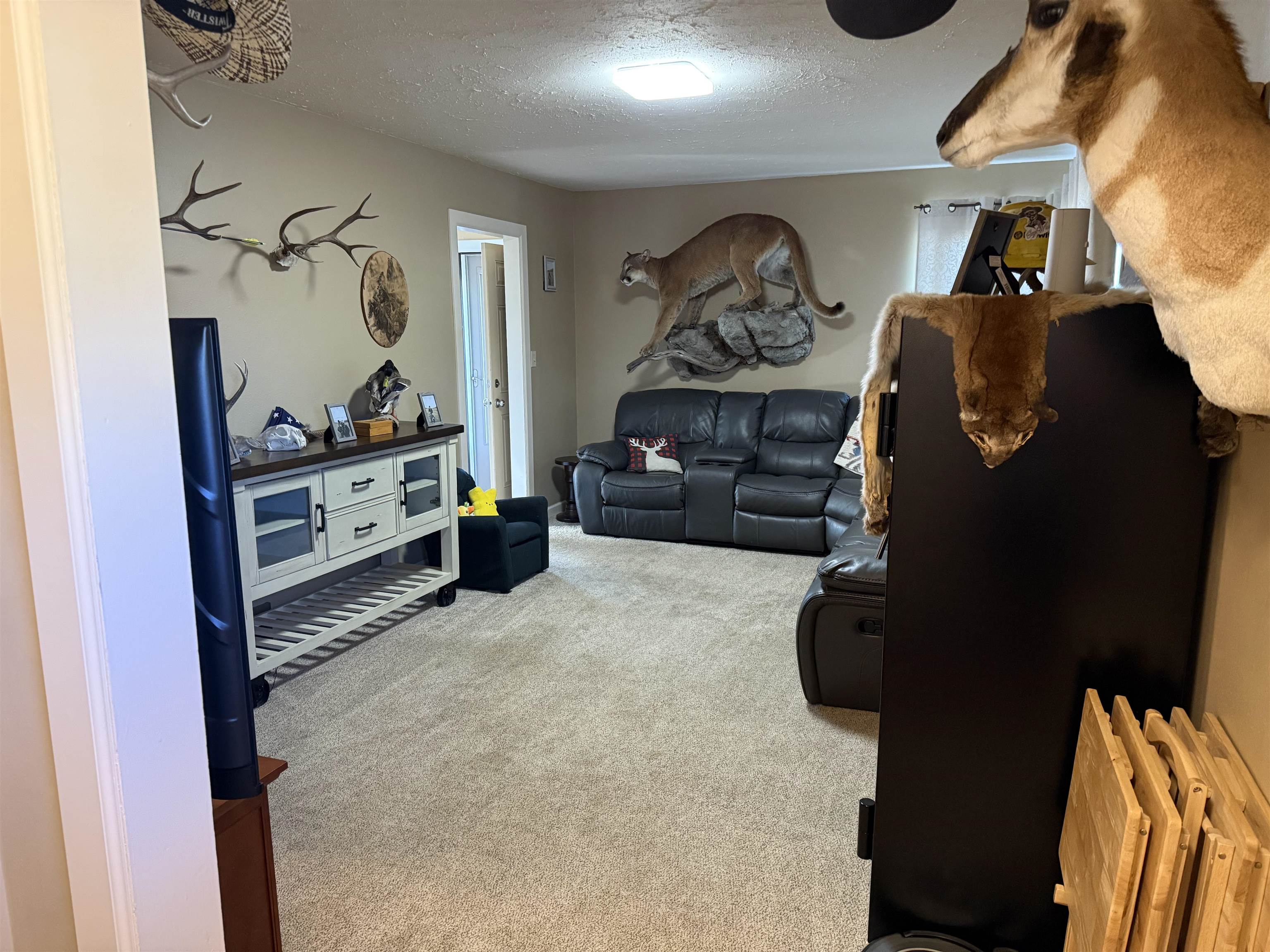 290 Gagon Drive, Soda Springs, Idaho image 3