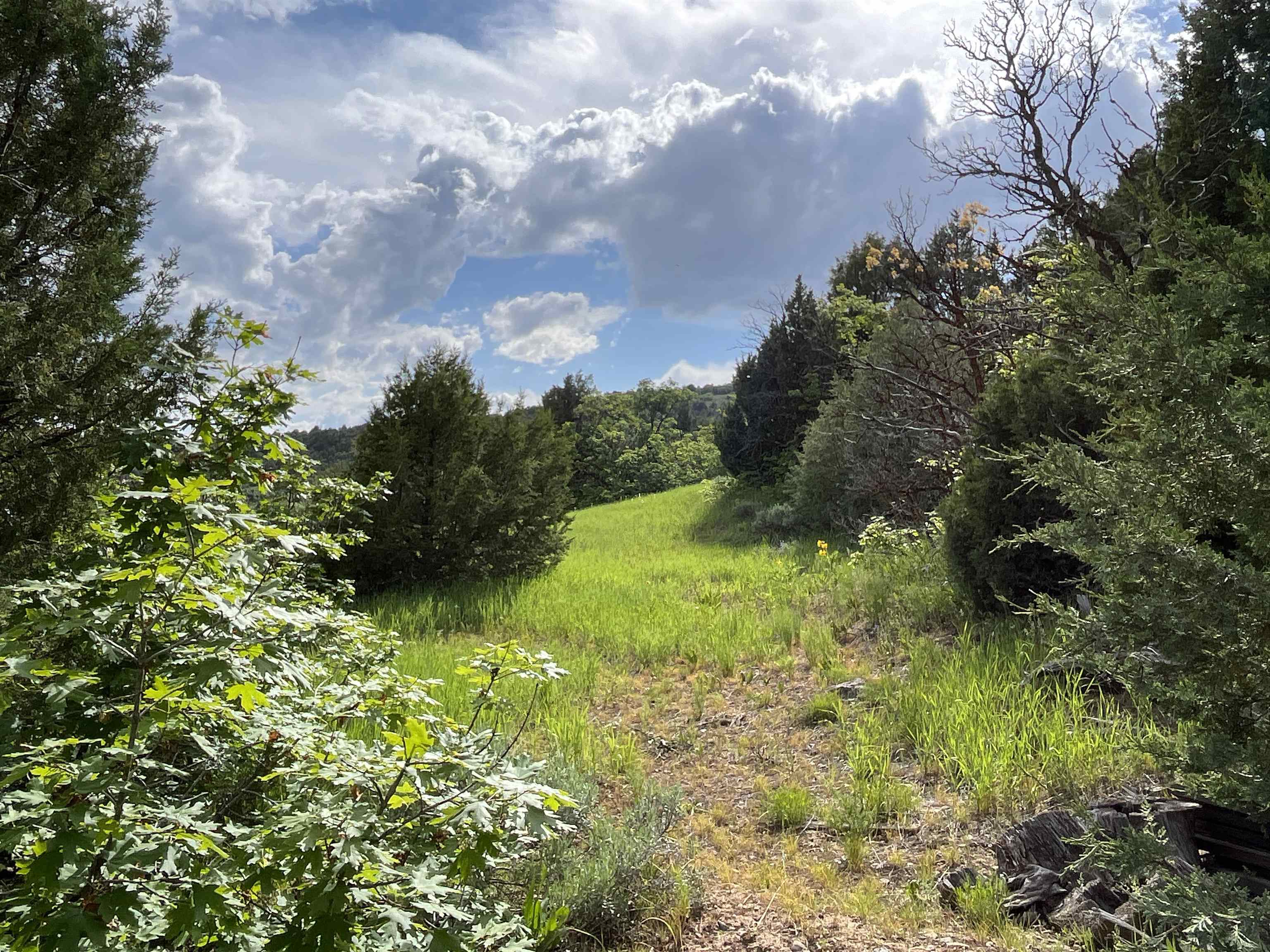 B-1 Bear River Ranches, Preston, Idaho image 8