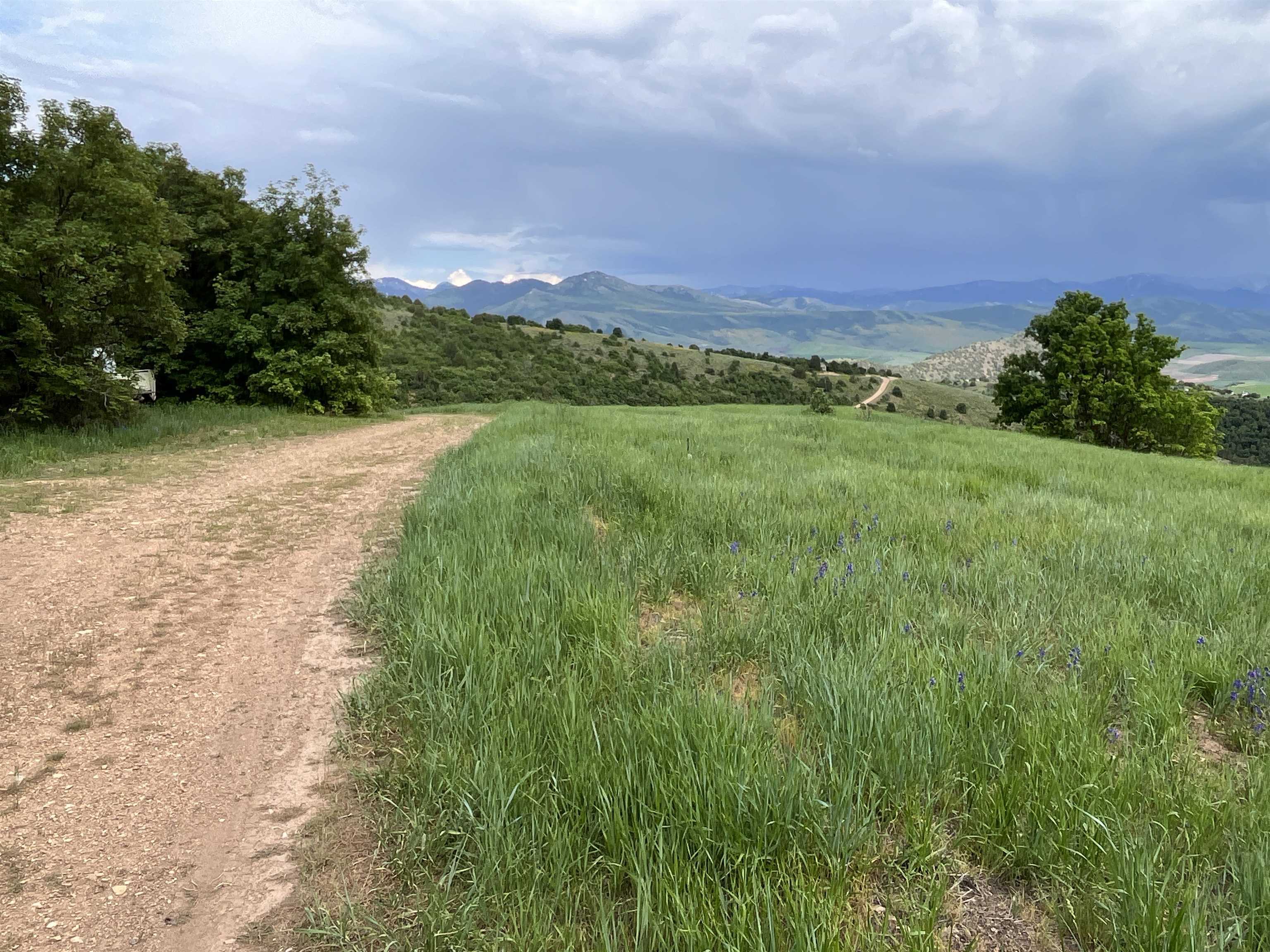 B-1 Bear River Ranches, Preston, Idaho image 10