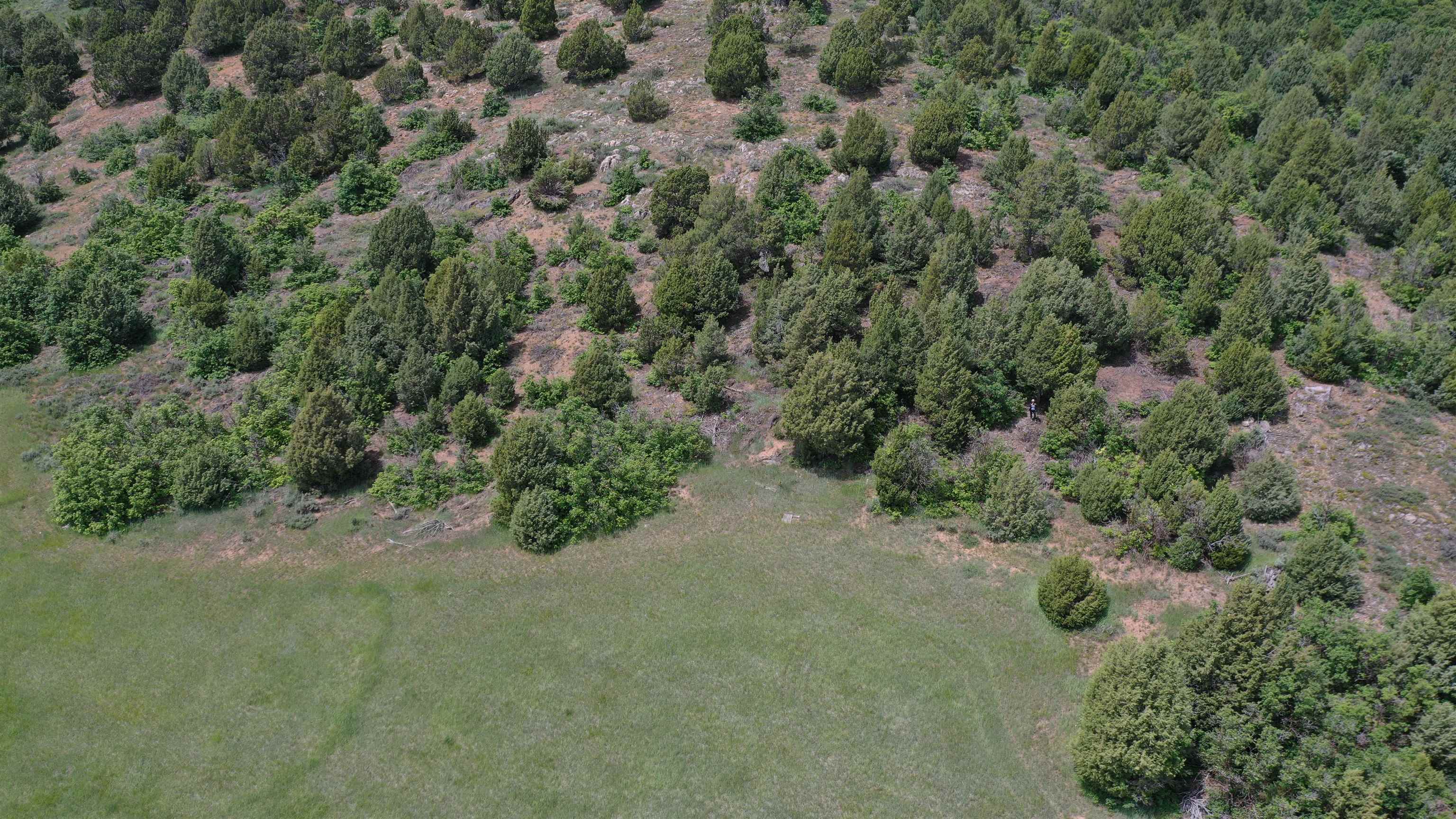 B-1 Bear River Ranches, Preston, Idaho image 15