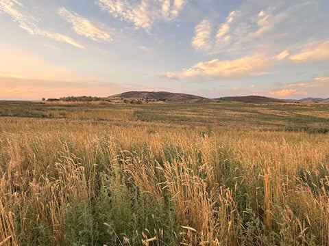 Vacant Land For Sale - TBD Lakey Loop Lot 20, Blk 2 (phase 1)<br/> Soda Springs, ID 83276