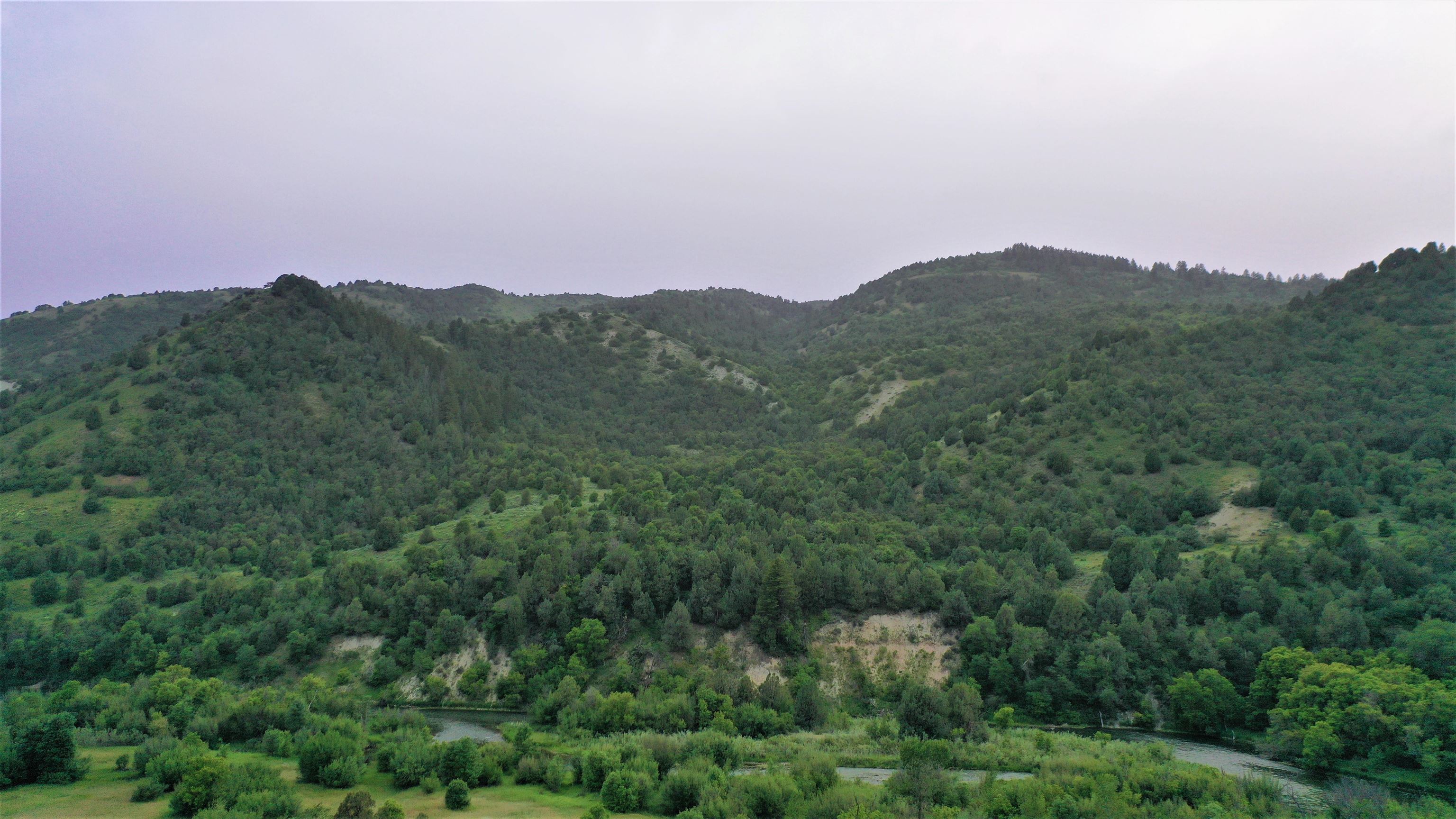 Parcel 61215 Bear River Ranches, Preston, Idaho image 11