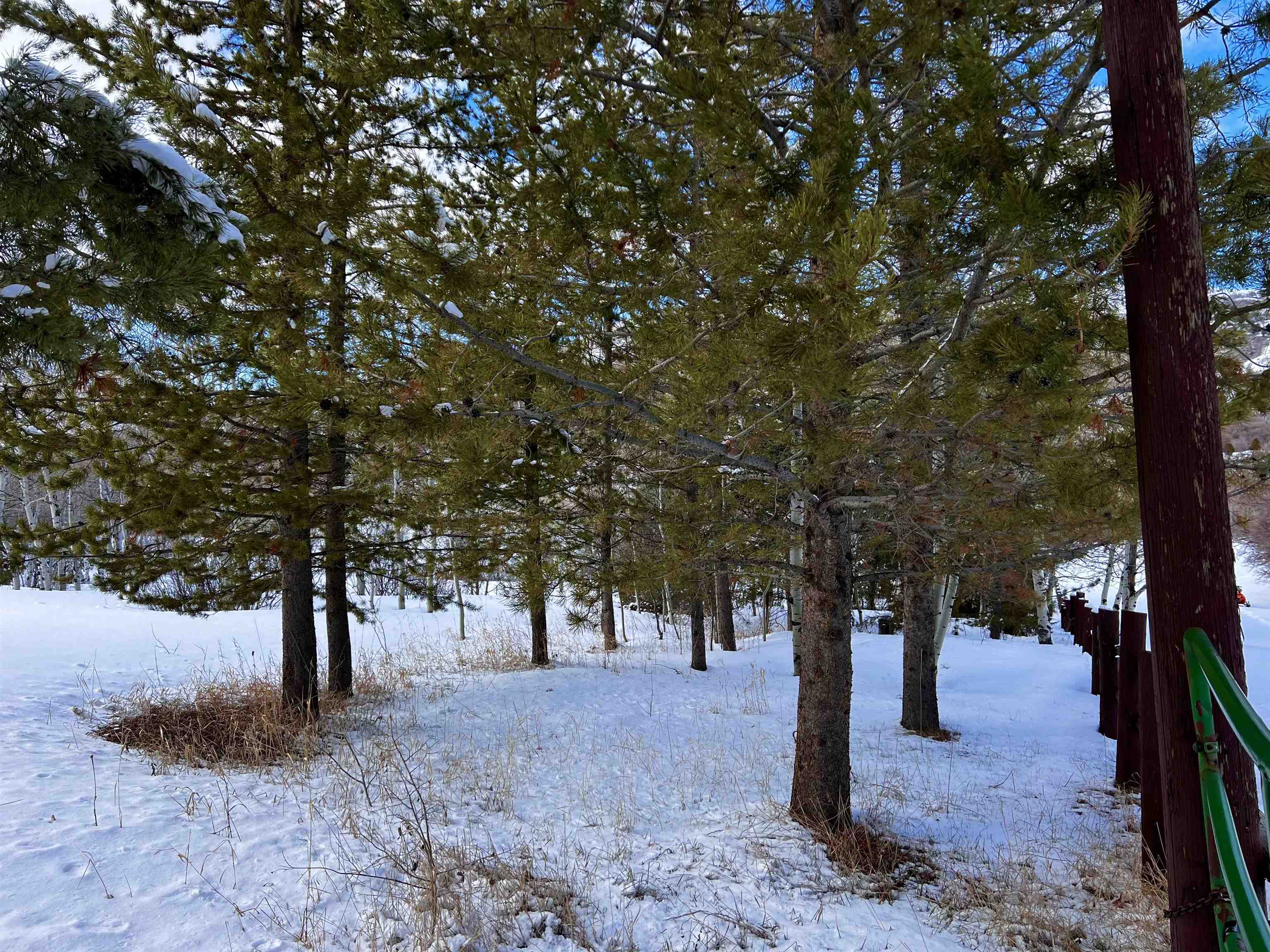 1 Mcpherson Canyon Road, Grace, Idaho image 19