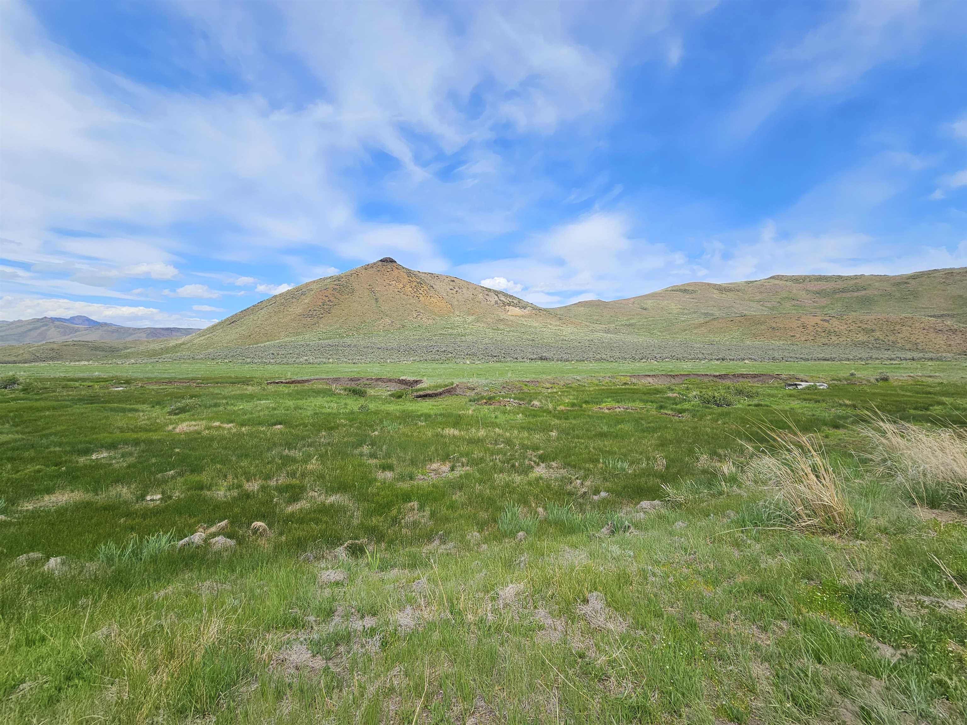 Lot 8 Dry Fork Rd, Moore, Idaho image 11