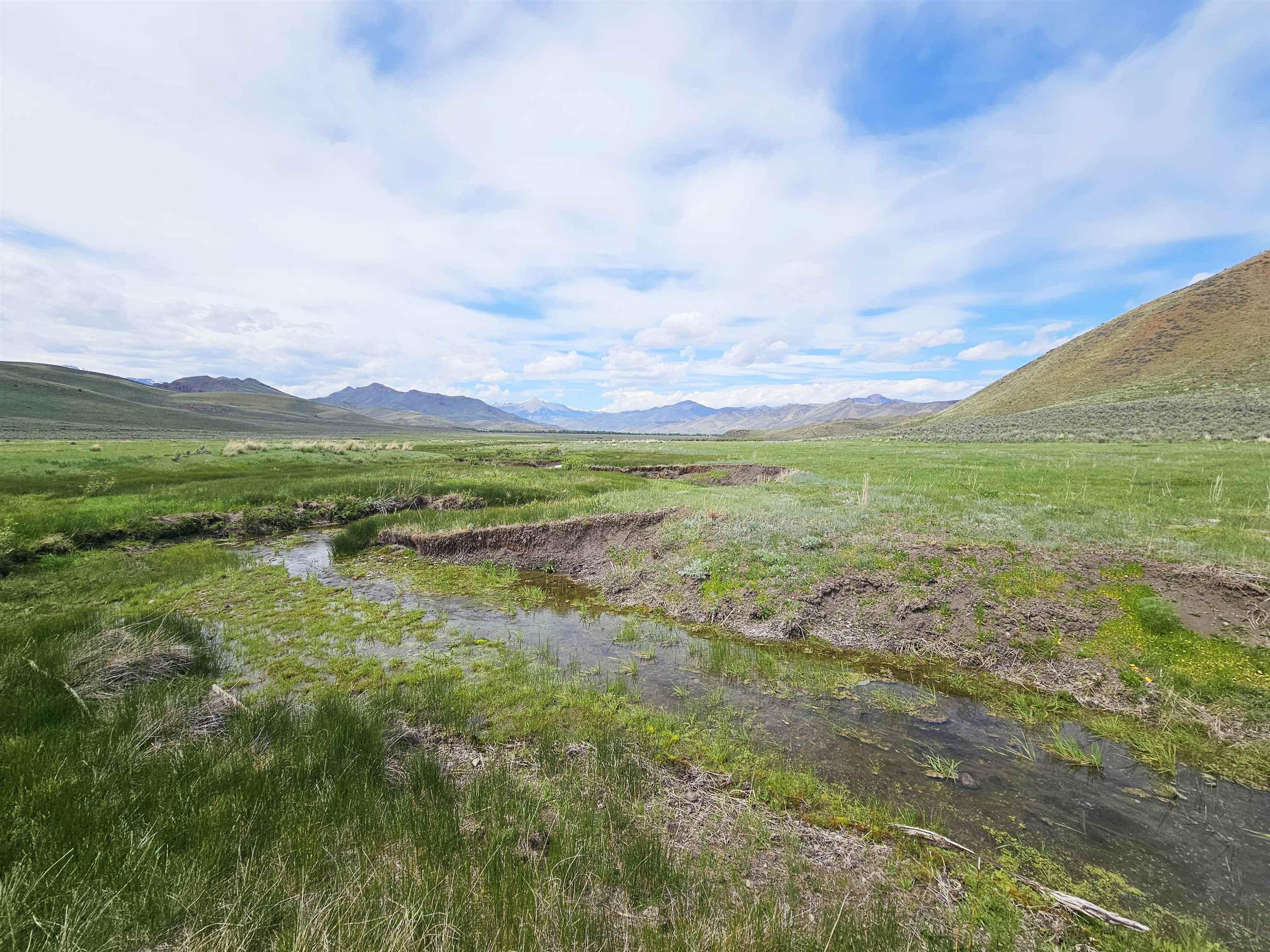 Lot 8 Dry Fork Rd, Moore, Idaho image 2