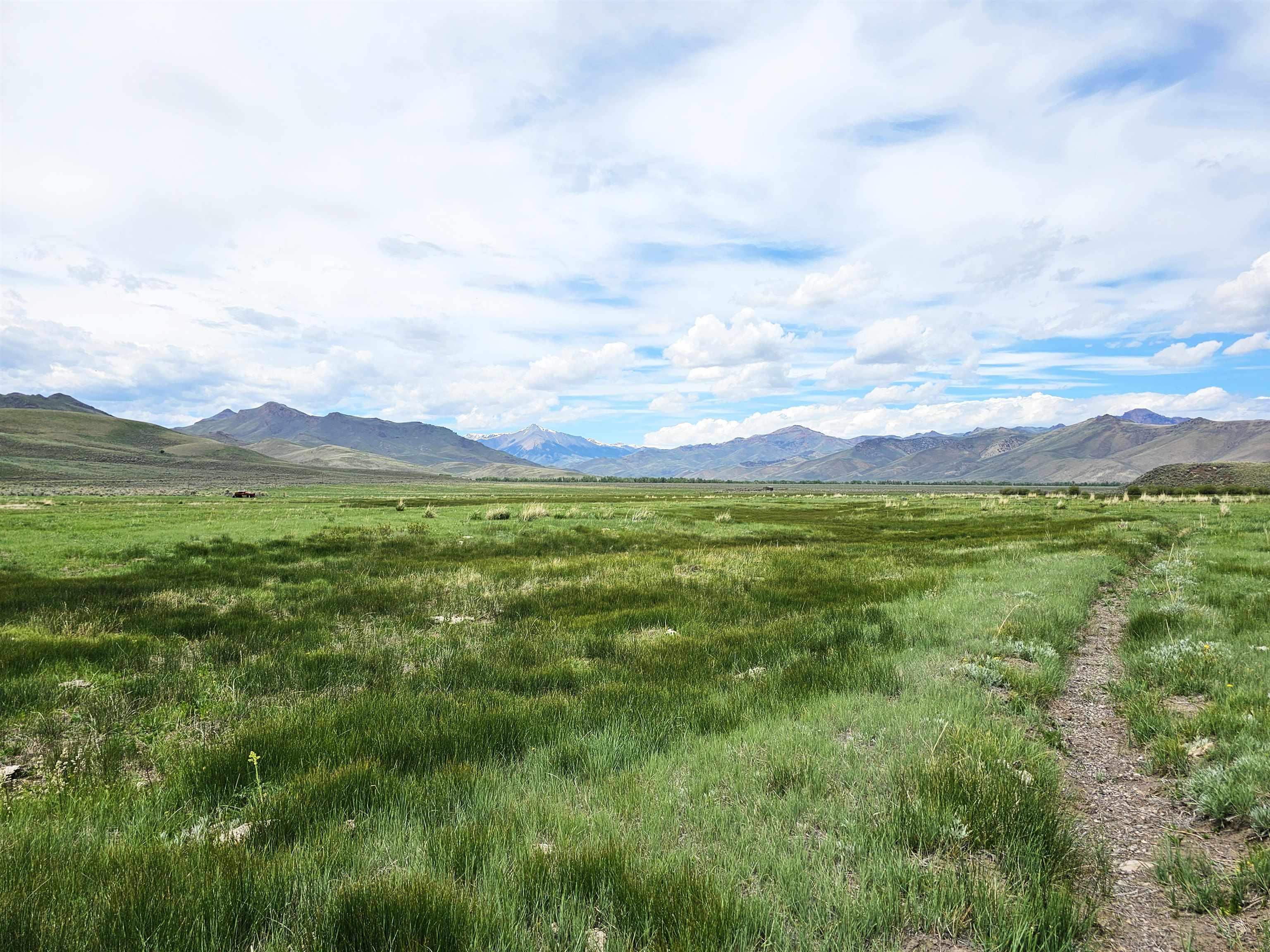 Lot 8 Dry Fork Rd, Moore, Idaho image 12
