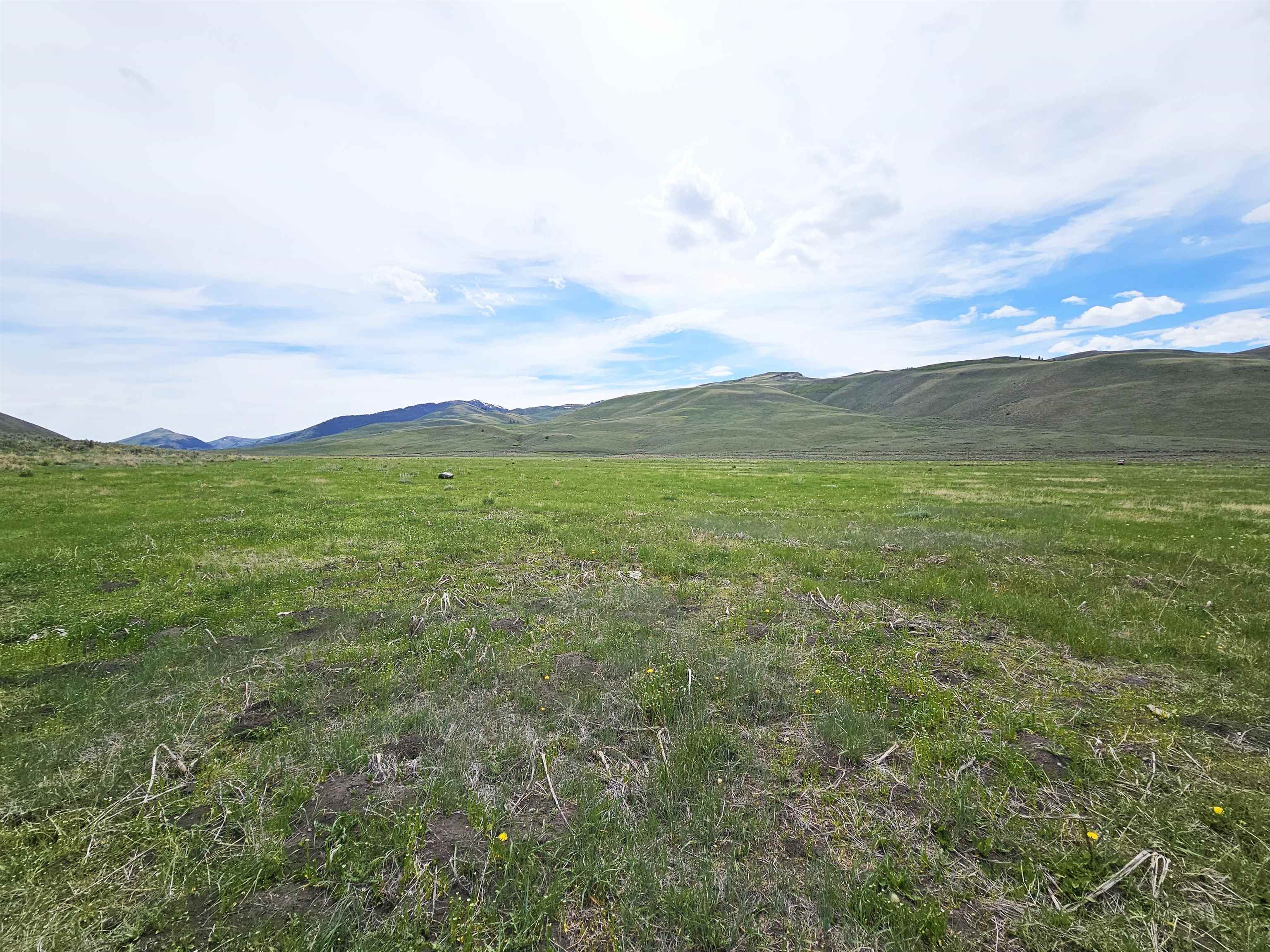 Lot 8 Dry Fork Rd, Moore, Idaho image 9