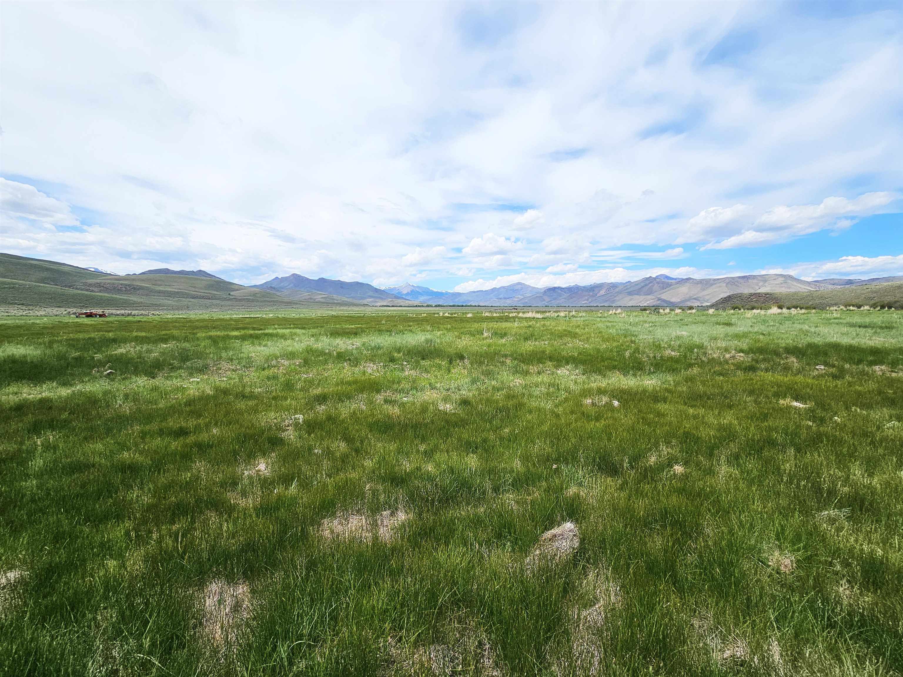 Lot 8 Dry Fork Rd, Moore, Idaho image 7