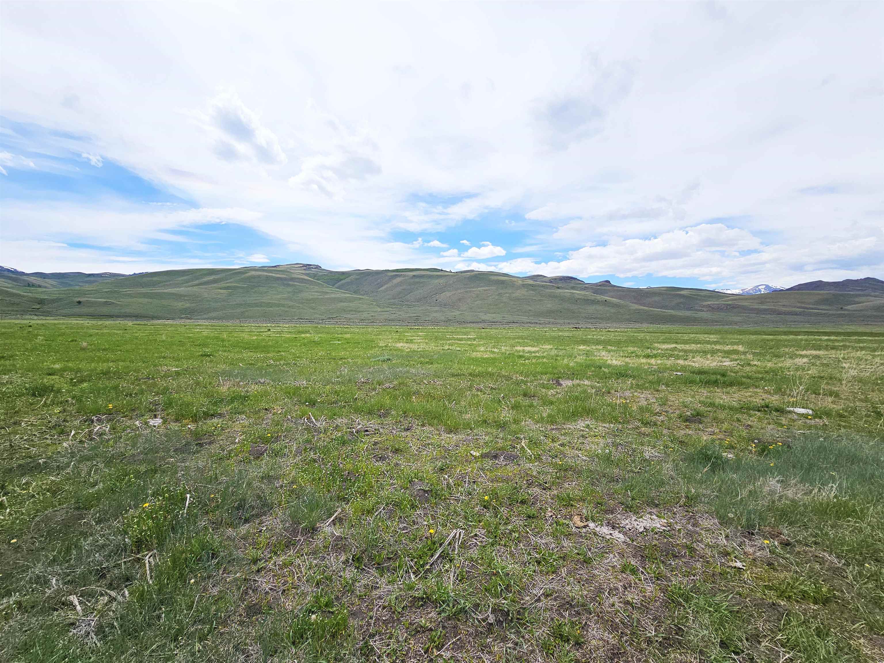 Lot 8 Dry Fork Rd, Moore, Idaho image 8