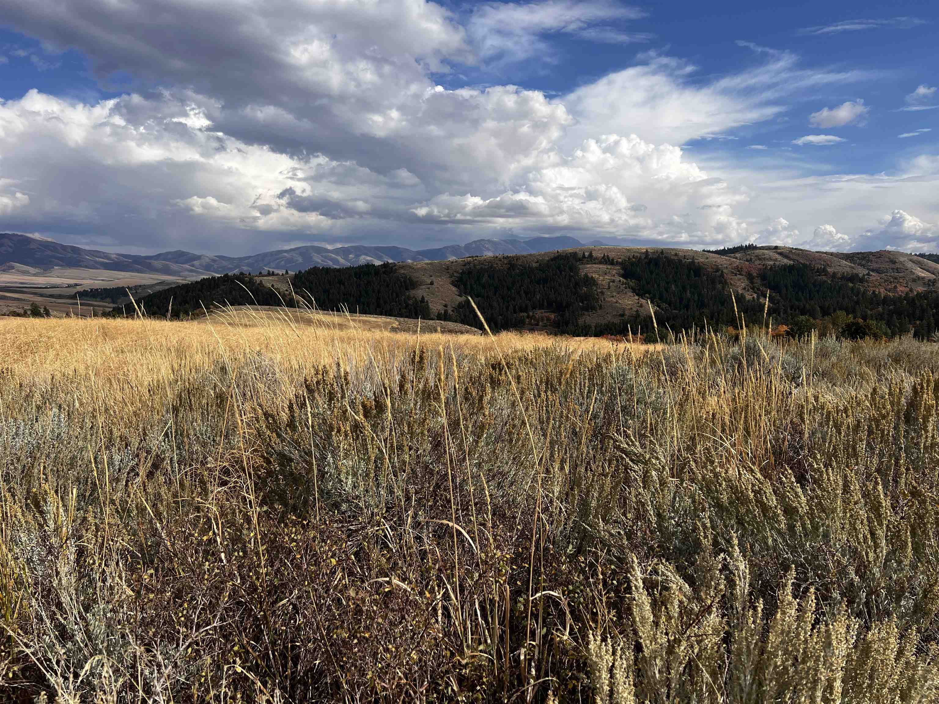 Lot 14 Panorama Rd, Pocatello, Idaho image 12