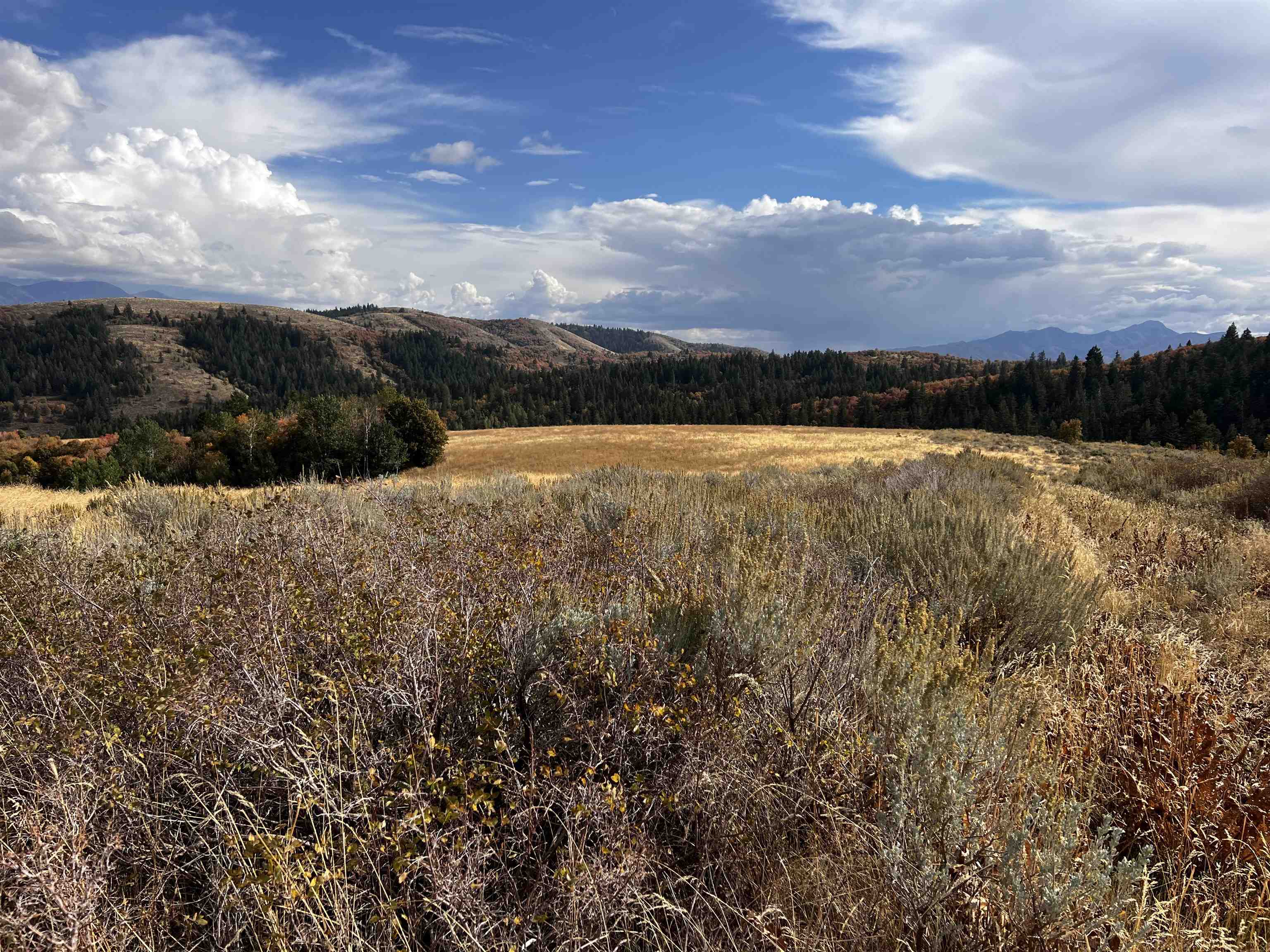 Lot 14 Panorama Rd, Pocatello, Idaho image 13