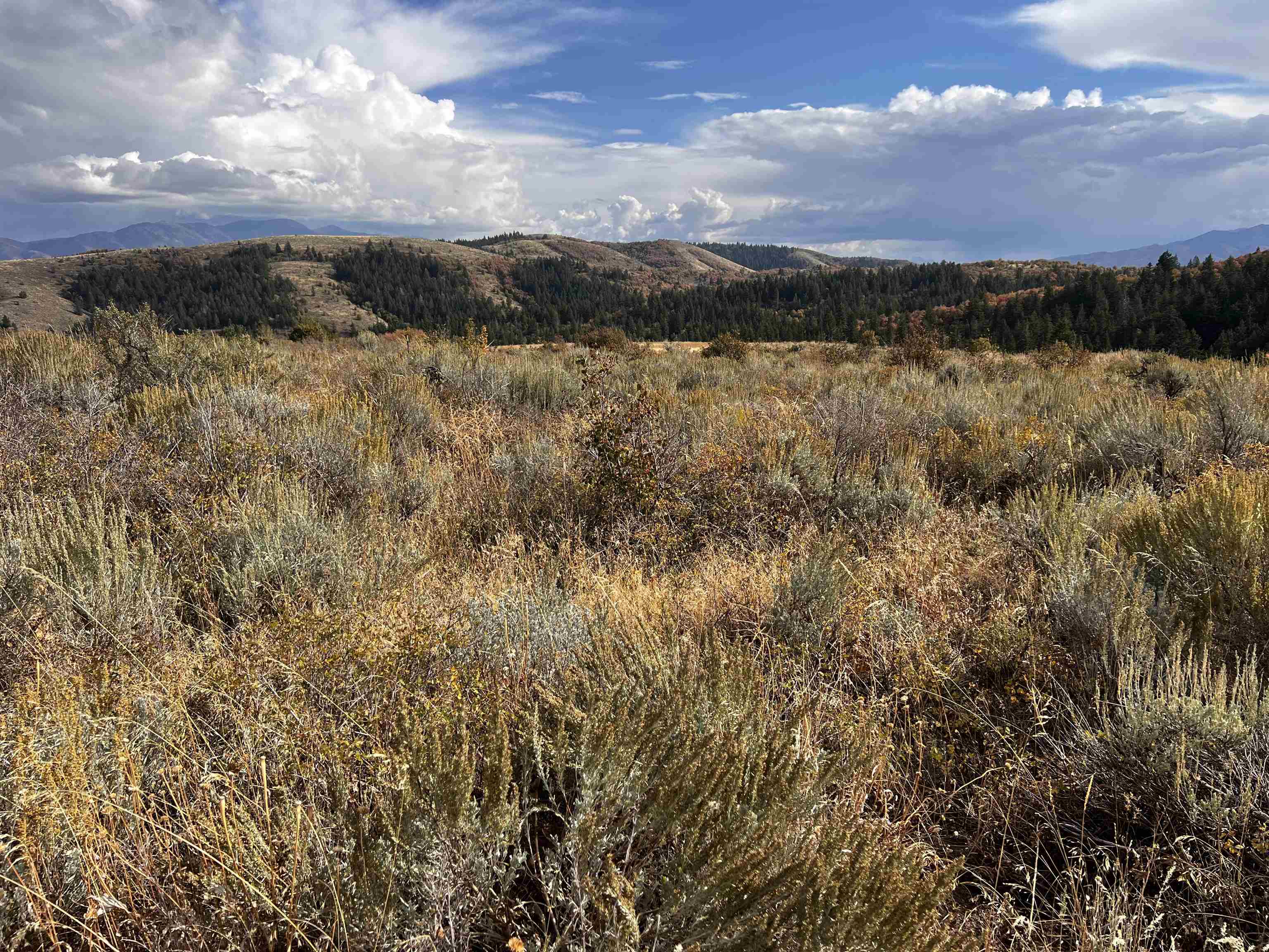 Lot 14 Panorama Rd, Pocatello, Idaho image 15