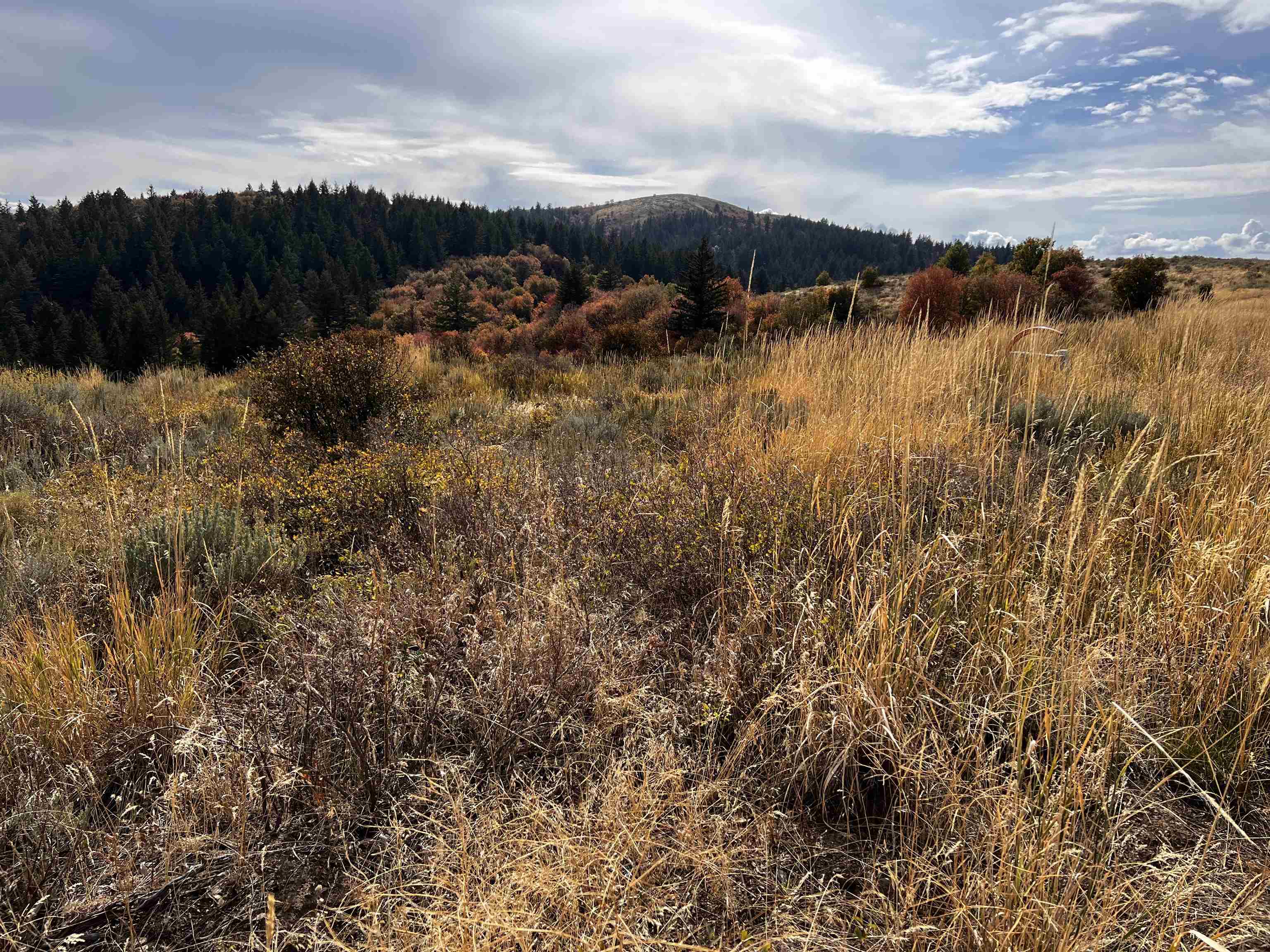 Lot 14 Panorama Rd, Pocatello, Idaho image 14