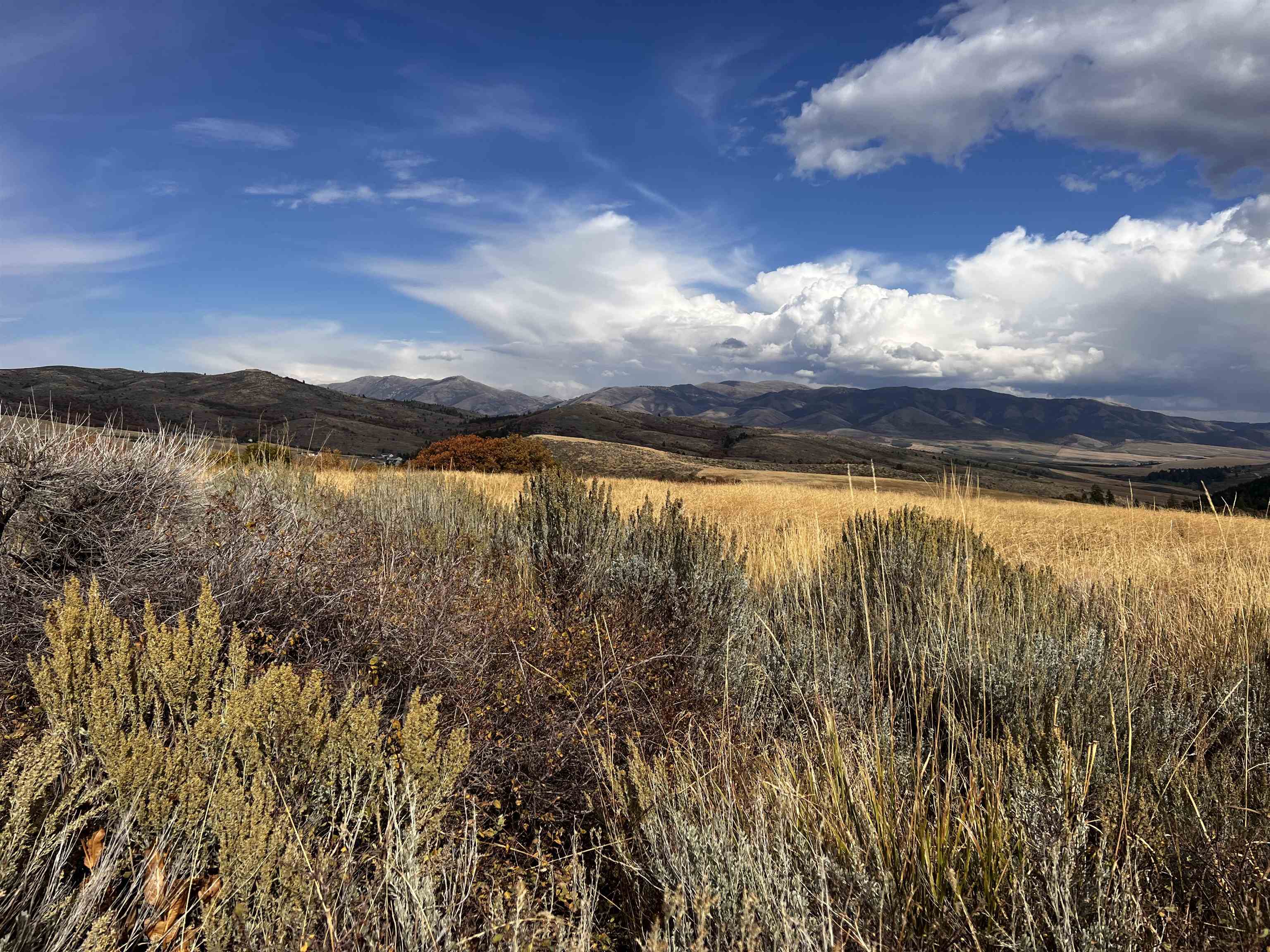 Lot 14 Panorama Rd, Pocatello, Idaho image 11