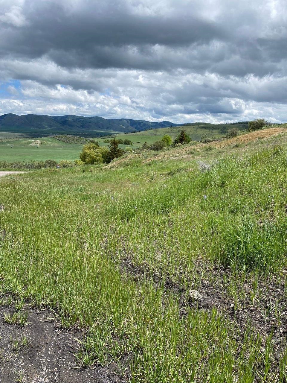 Lot 103 Bailey Creek Subdivision #1, Soda Springs, Idaho image 7