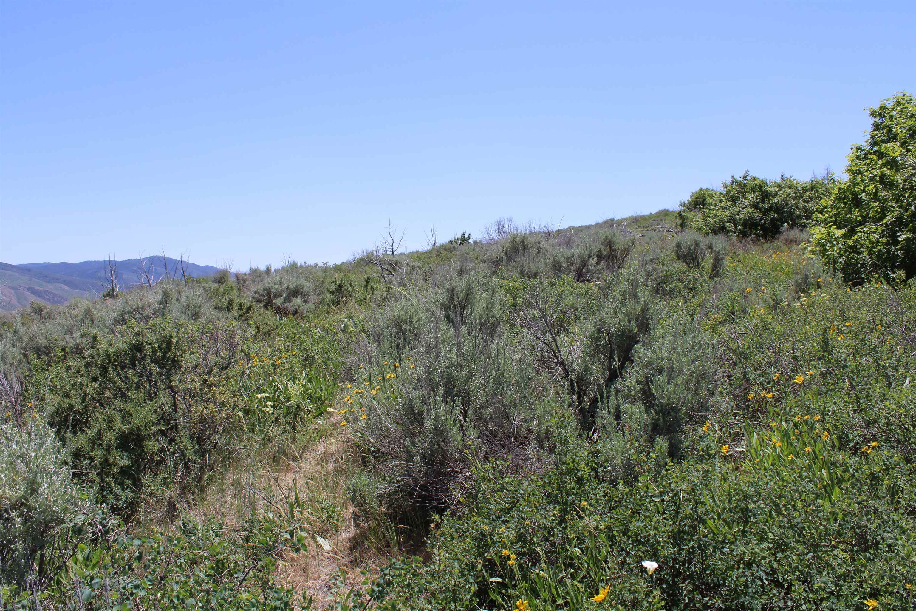 8121 Crystal Springs Road, McCammon, Idaho image 9