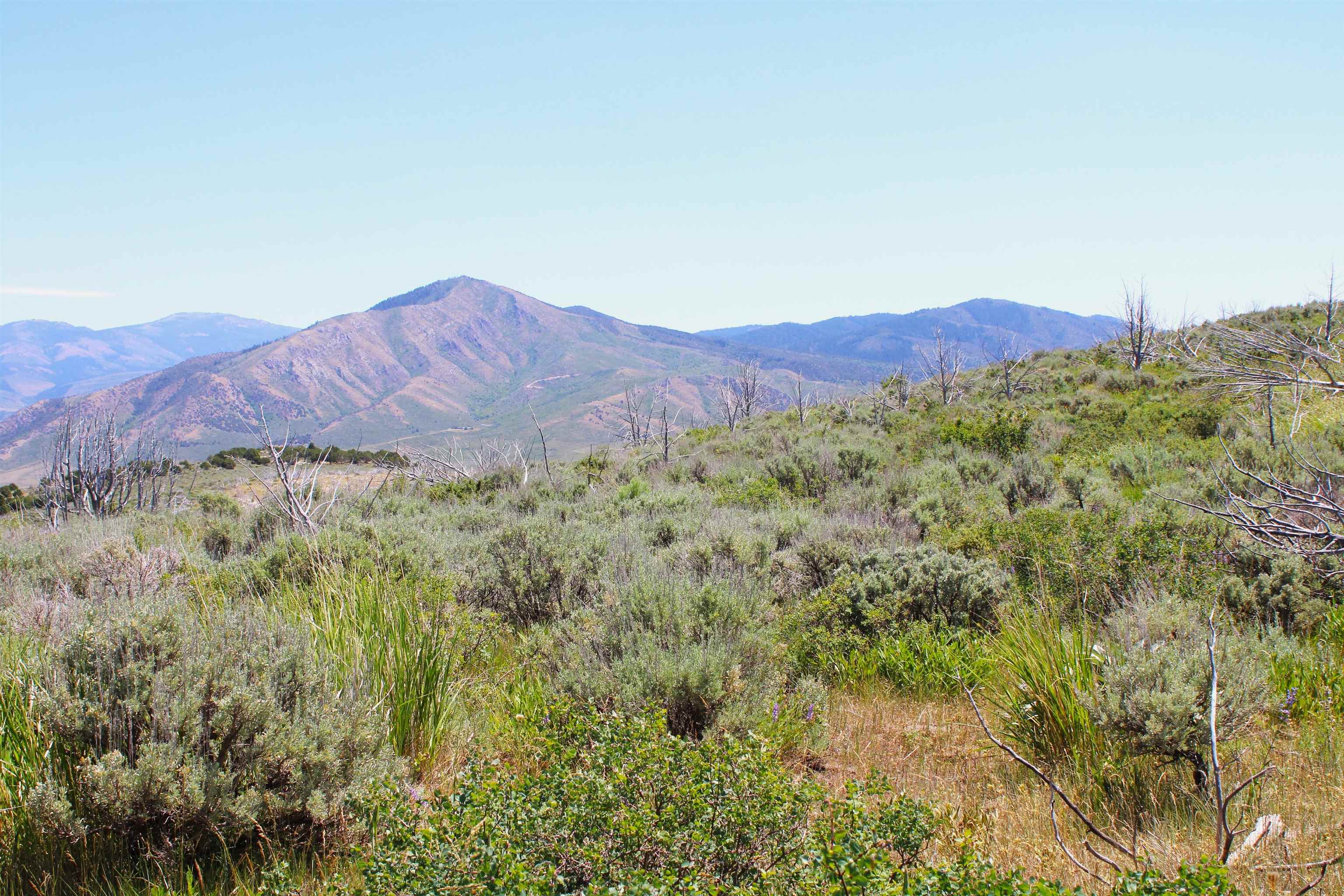 8121 Crystal Springs Road, McCammon, Idaho image 13