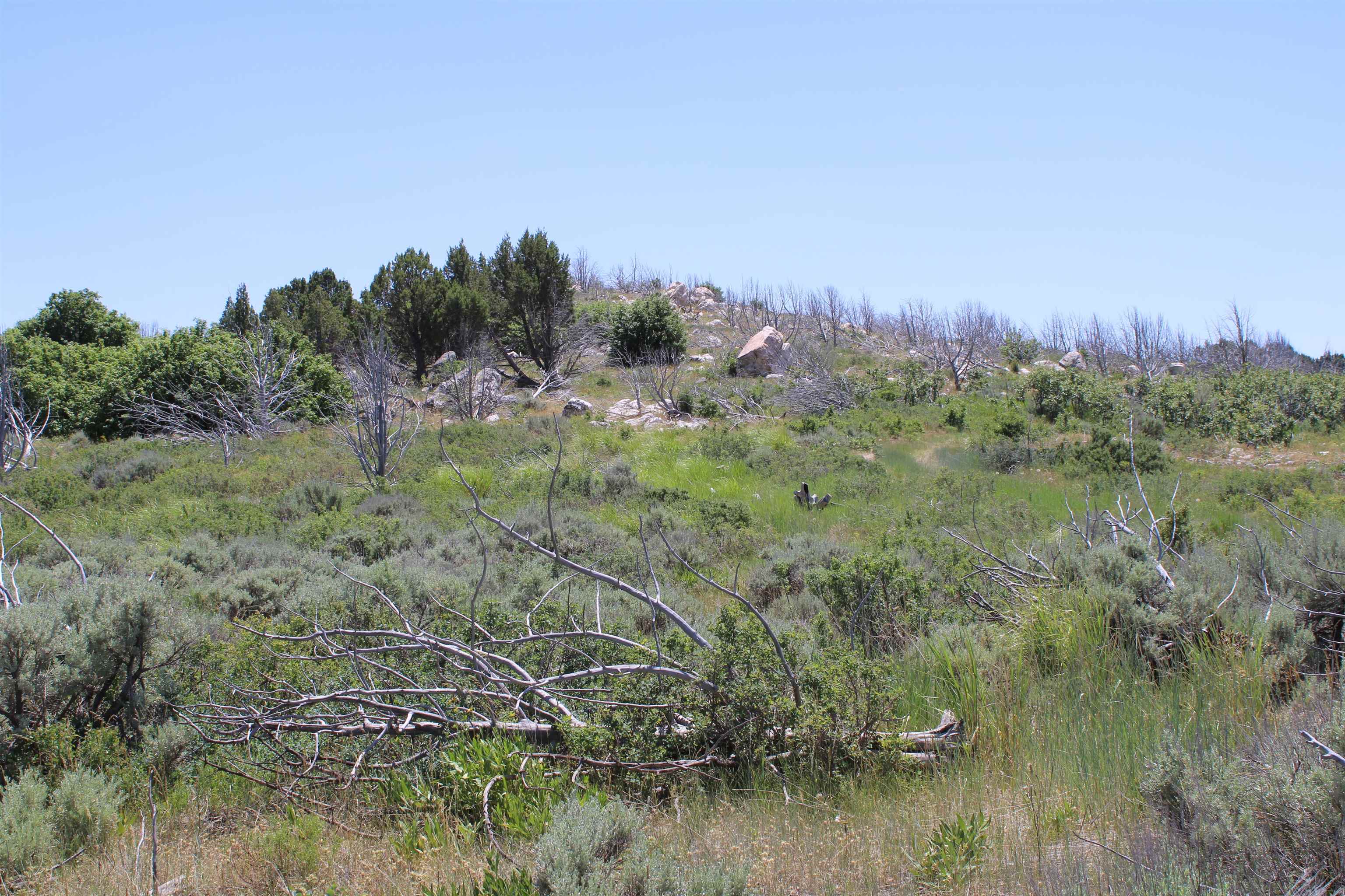 8121 Crystal Springs Road, McCammon, Idaho image 12